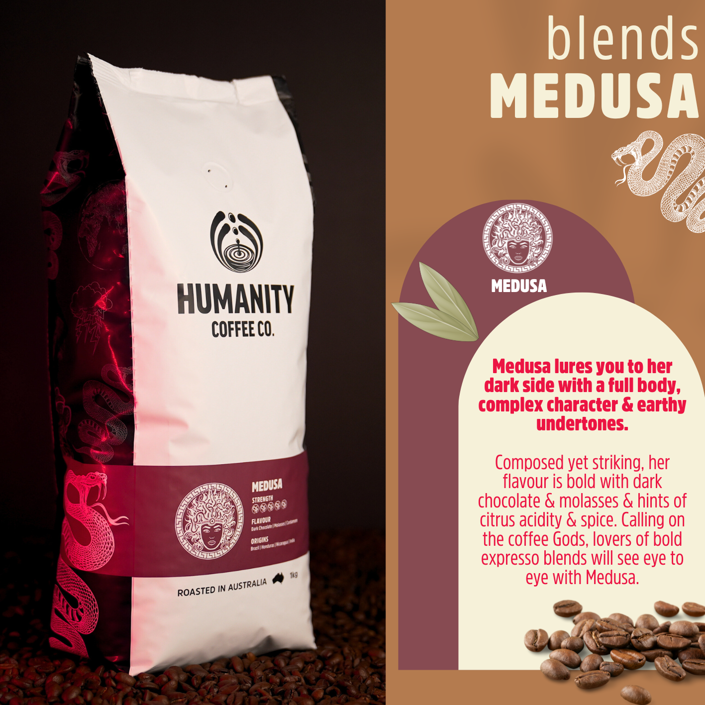 Medusa blends.png