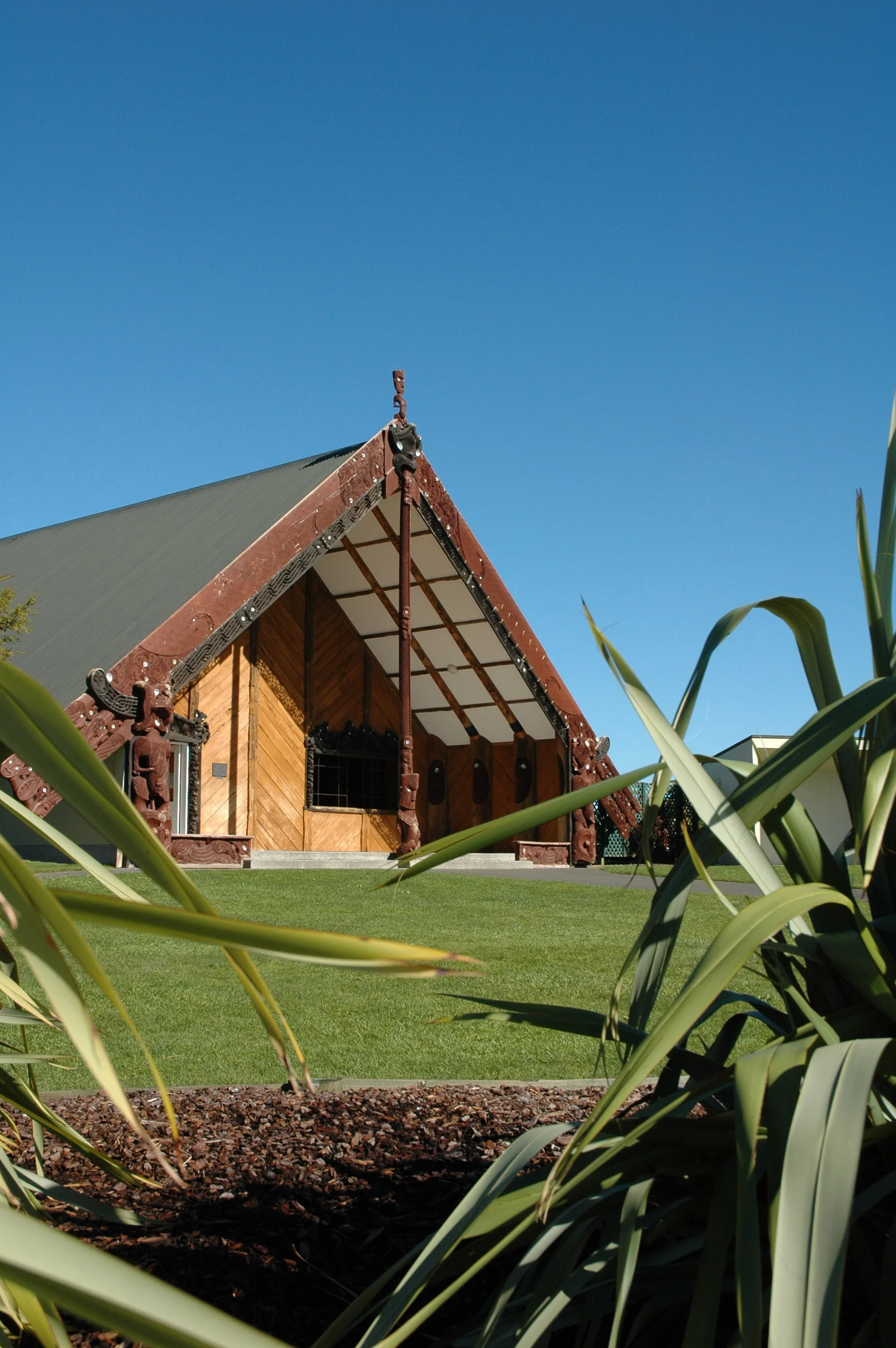 Championing Māori health equity - Manaaki Mana Kaikōkiri Hui 