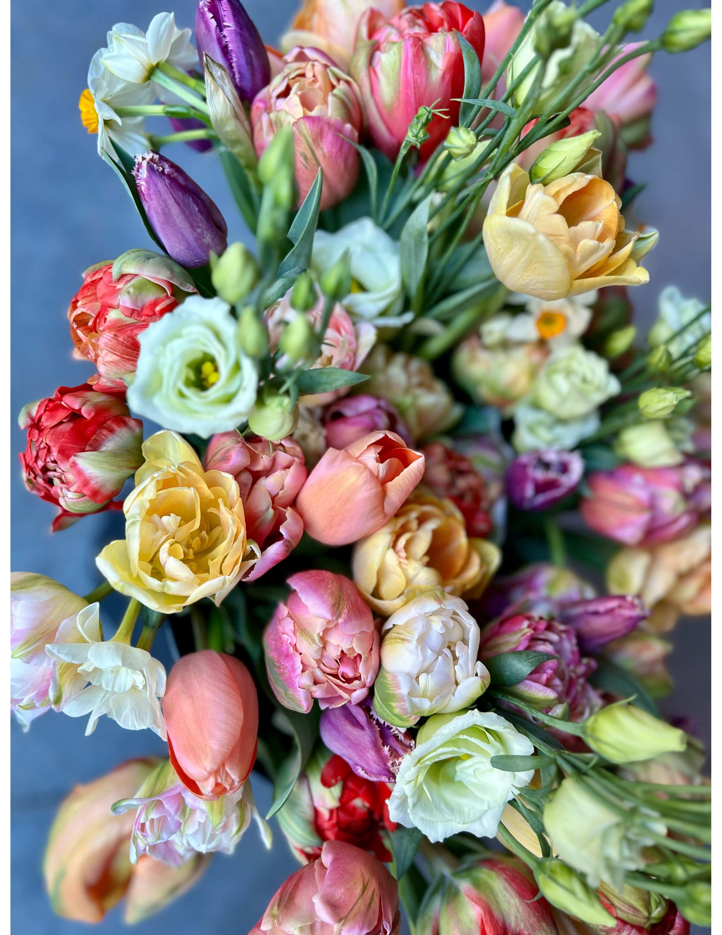 Spring Tulips.jpg