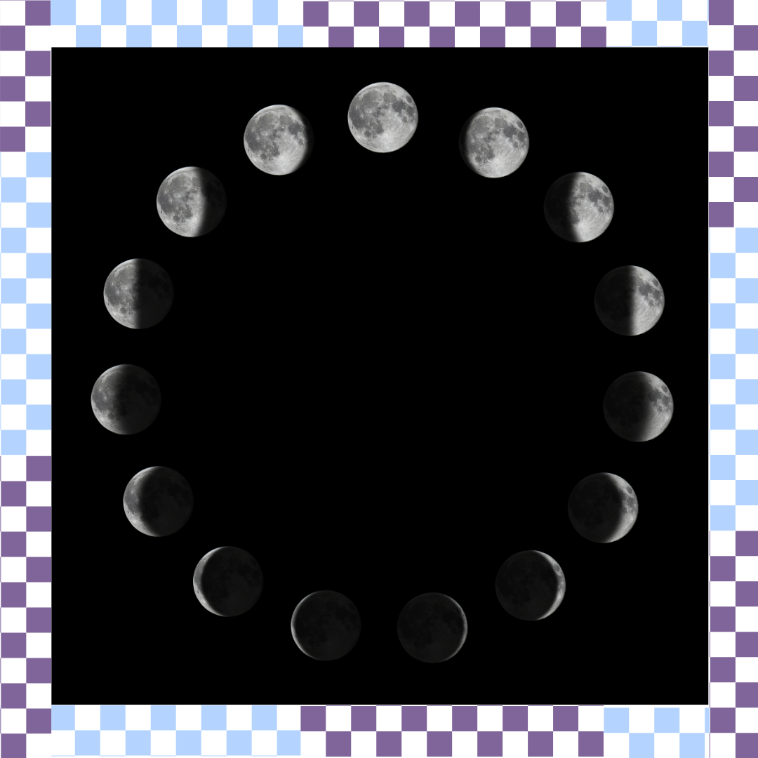 all services  (19).png