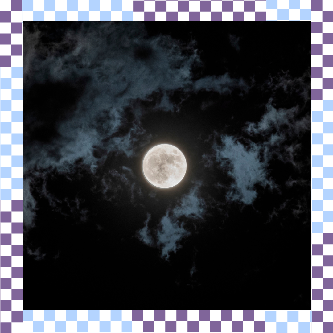 all services  (13).png
