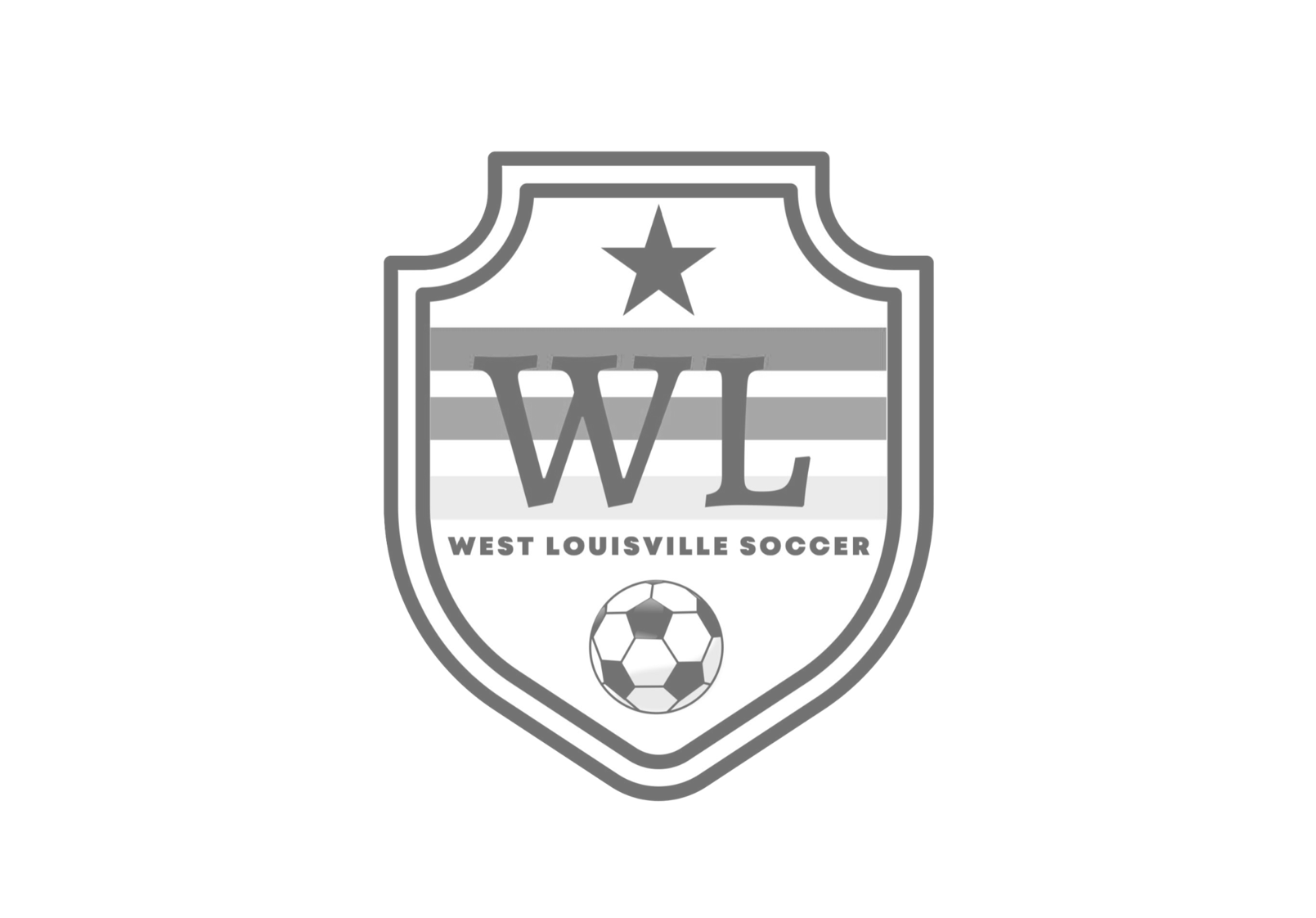 WLS Logo Grey.png