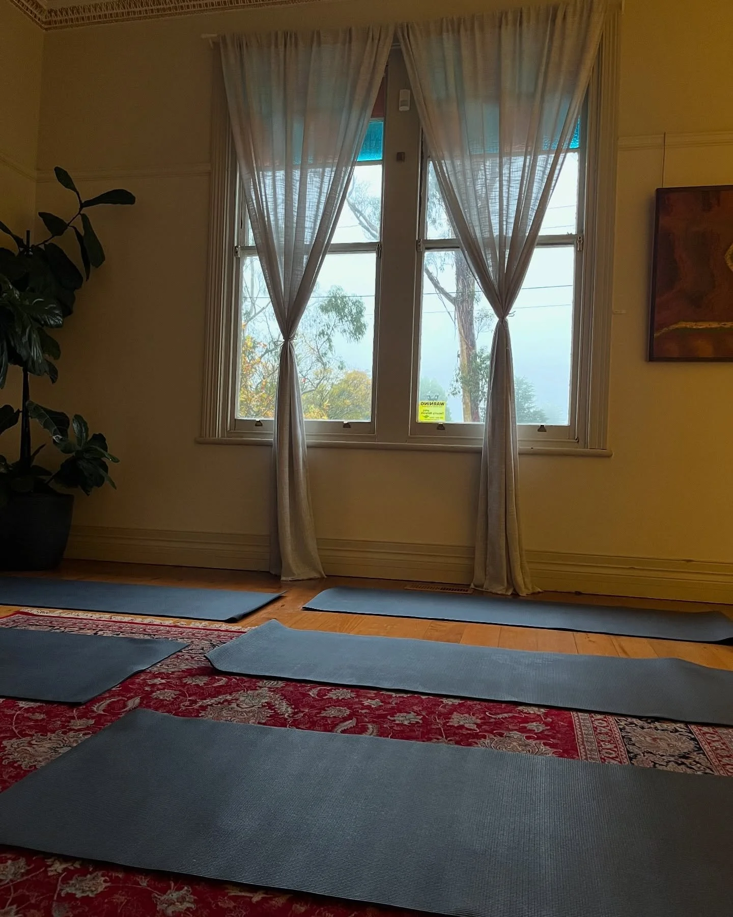 A few facts about the yoga studio:

The space is within Waratah Holistic Health and has been lovingly designed and curated by Sarah @middle.path.medicine 🙏 

Classes will be intimate to suit the size of the space and so that teachers can give care a