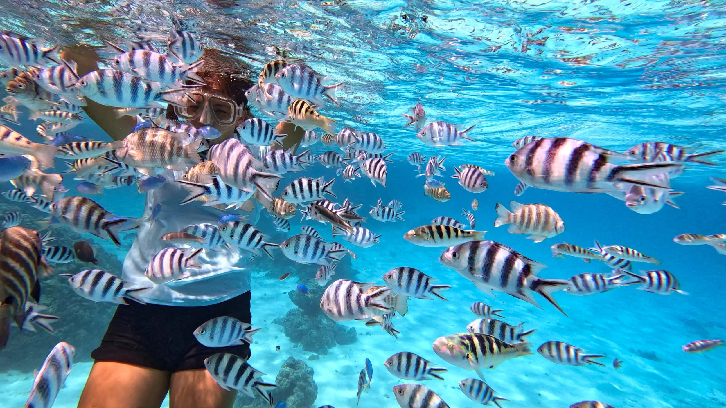 Snorkeling woman underwater surrounded by tropical fish in clear blue water.