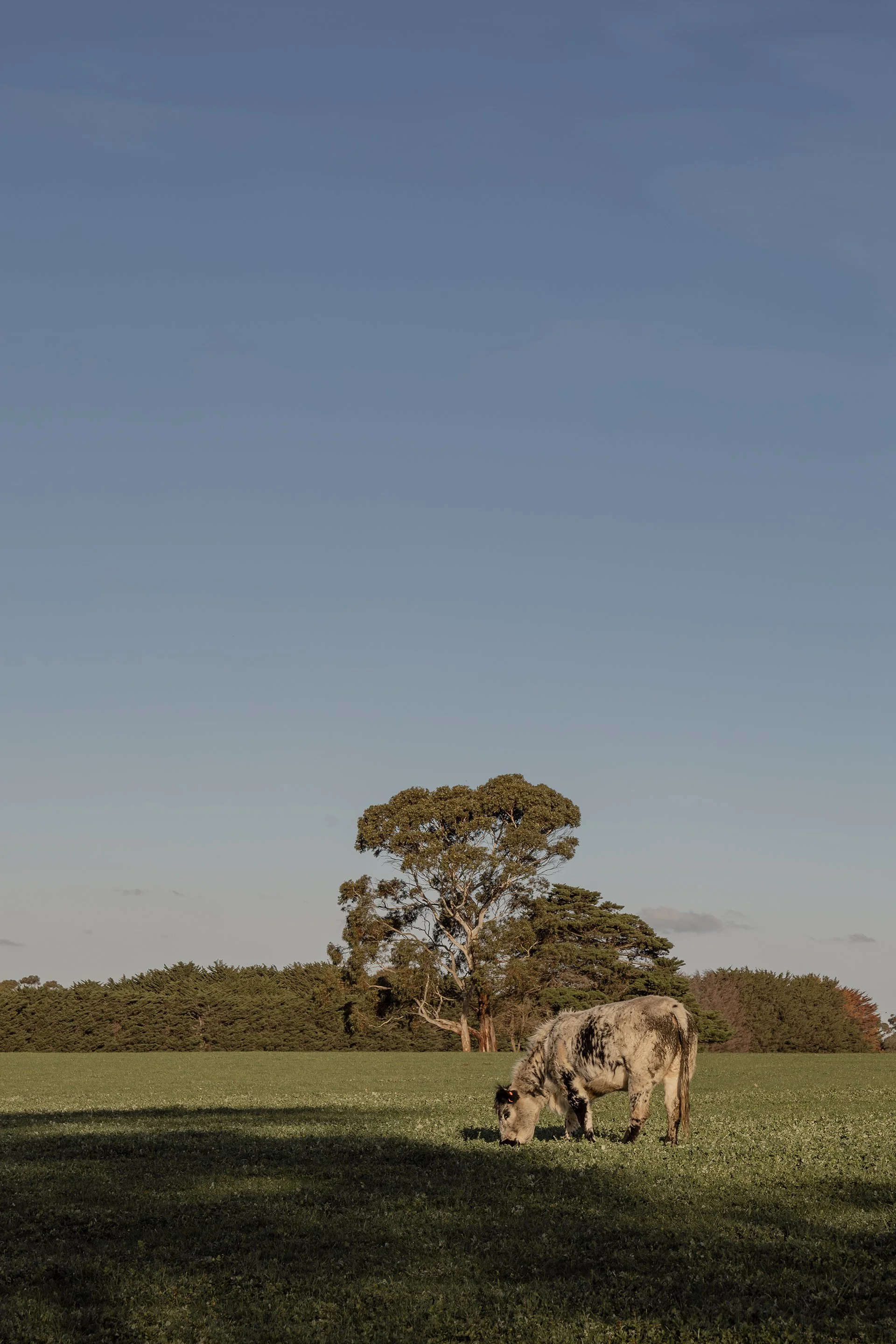 Ocean Grove Home_Low Res_0110.jpg