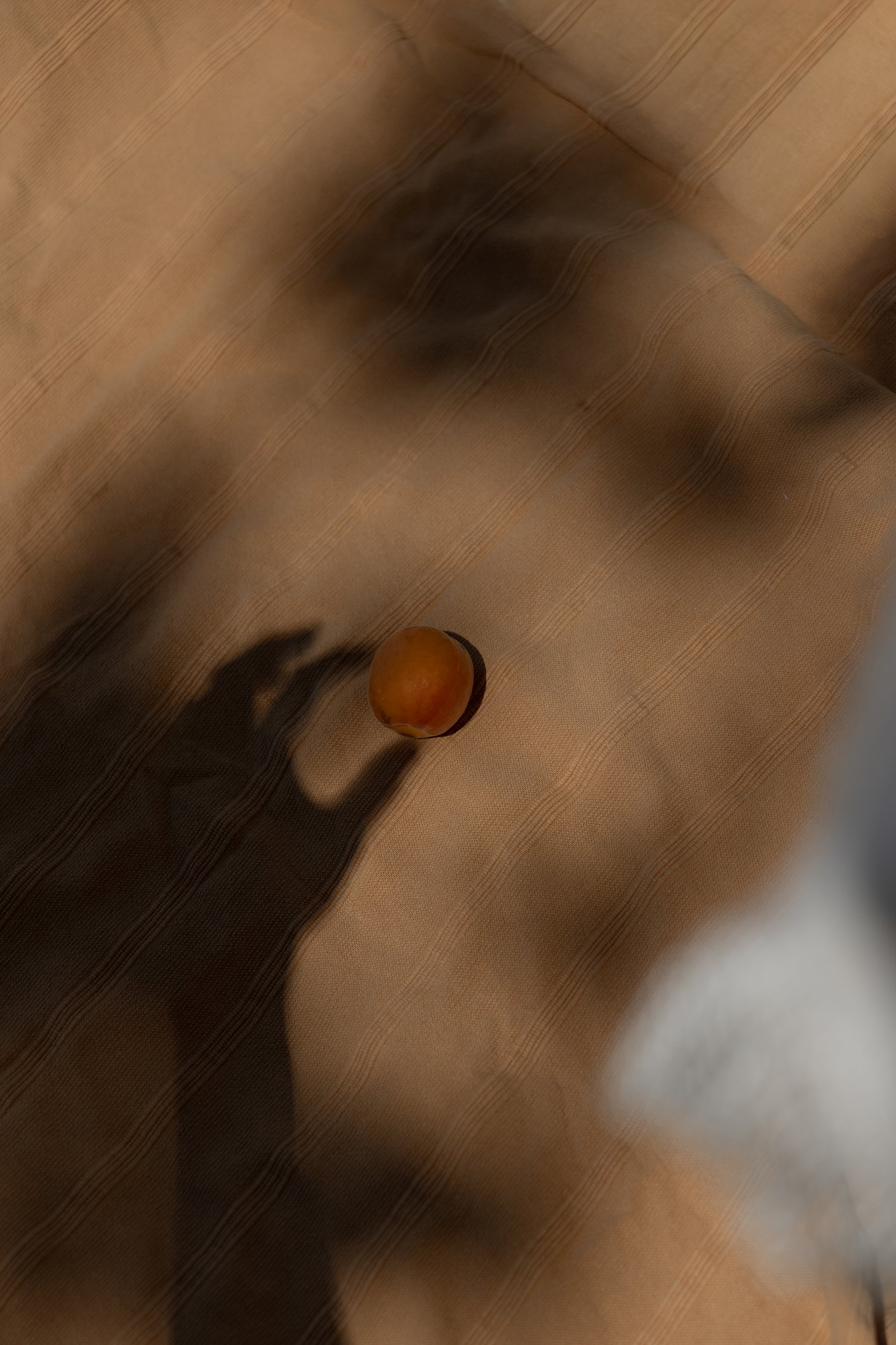 La Costa_LR_0107.jpg