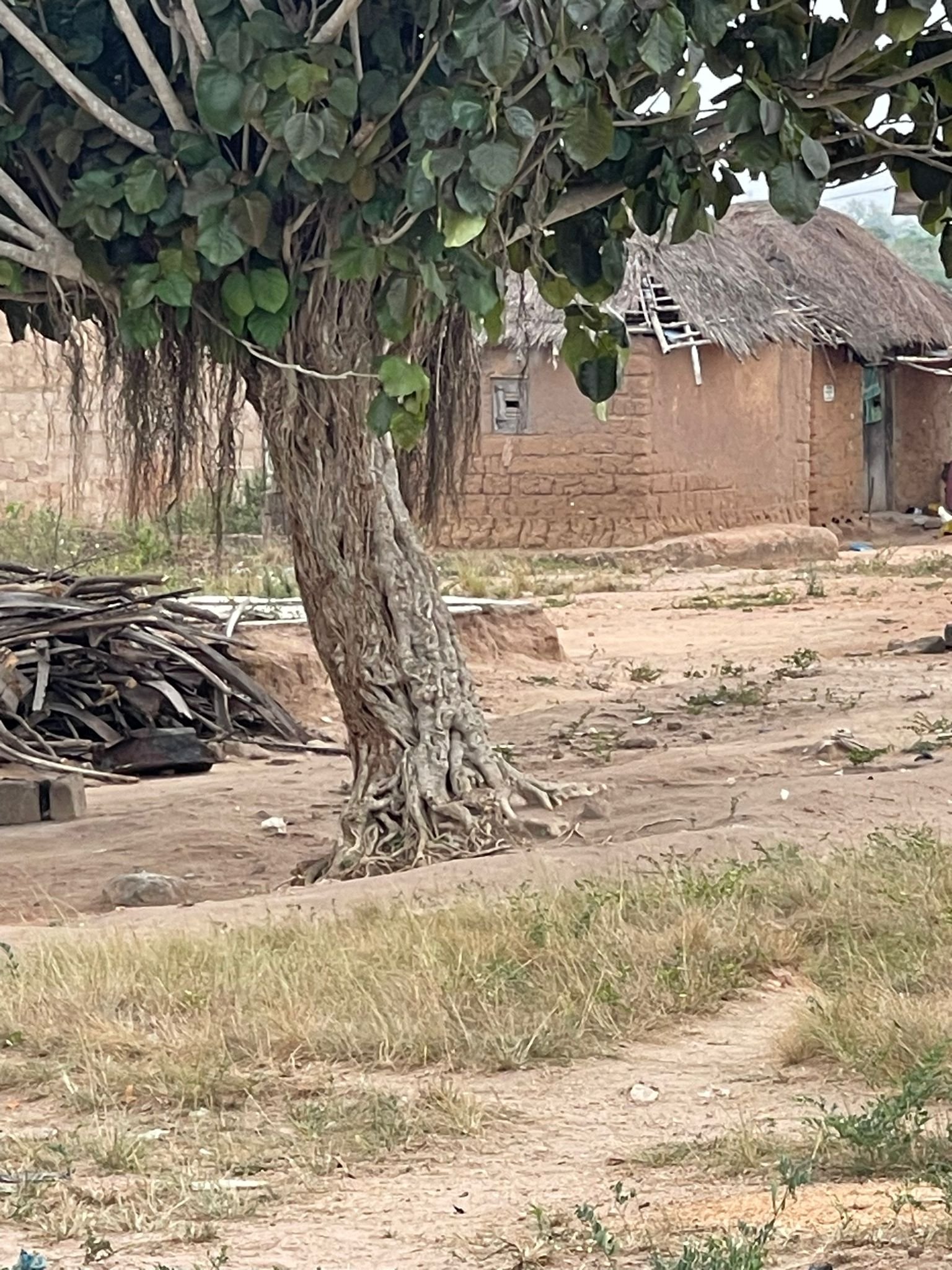 Central Region: Obengman community