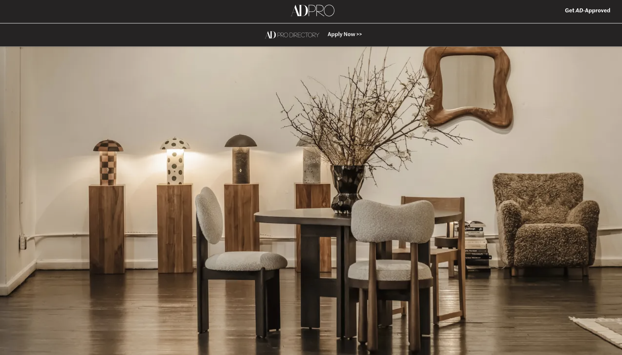 Screen Shot 2025-02-10 at 1.29.23 AM.png