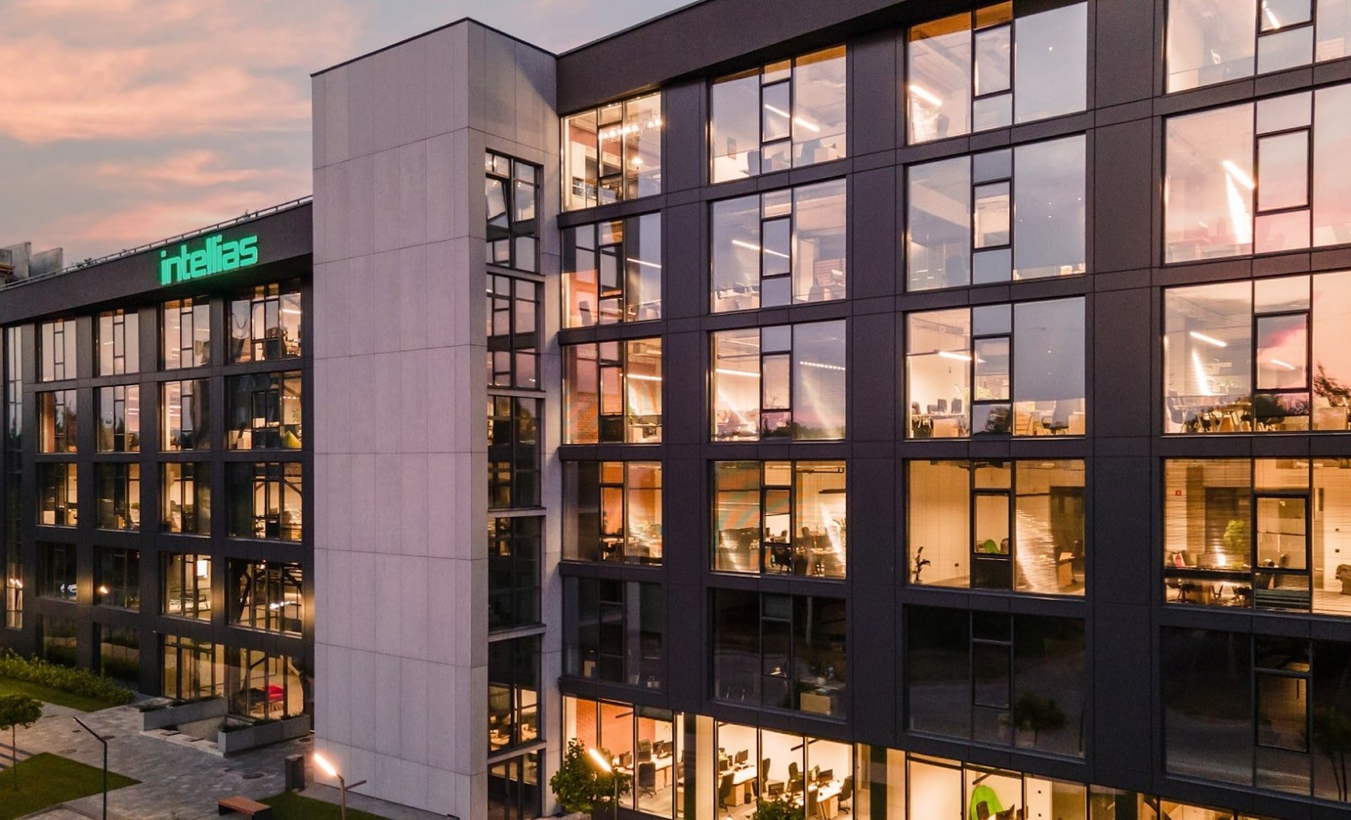 Intellias — Leadership &amp; Digital Growth Partnership