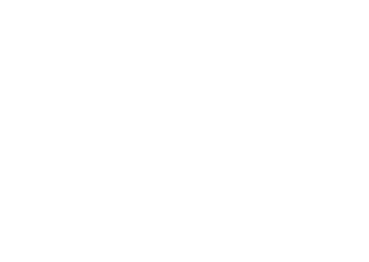 LeapView Group