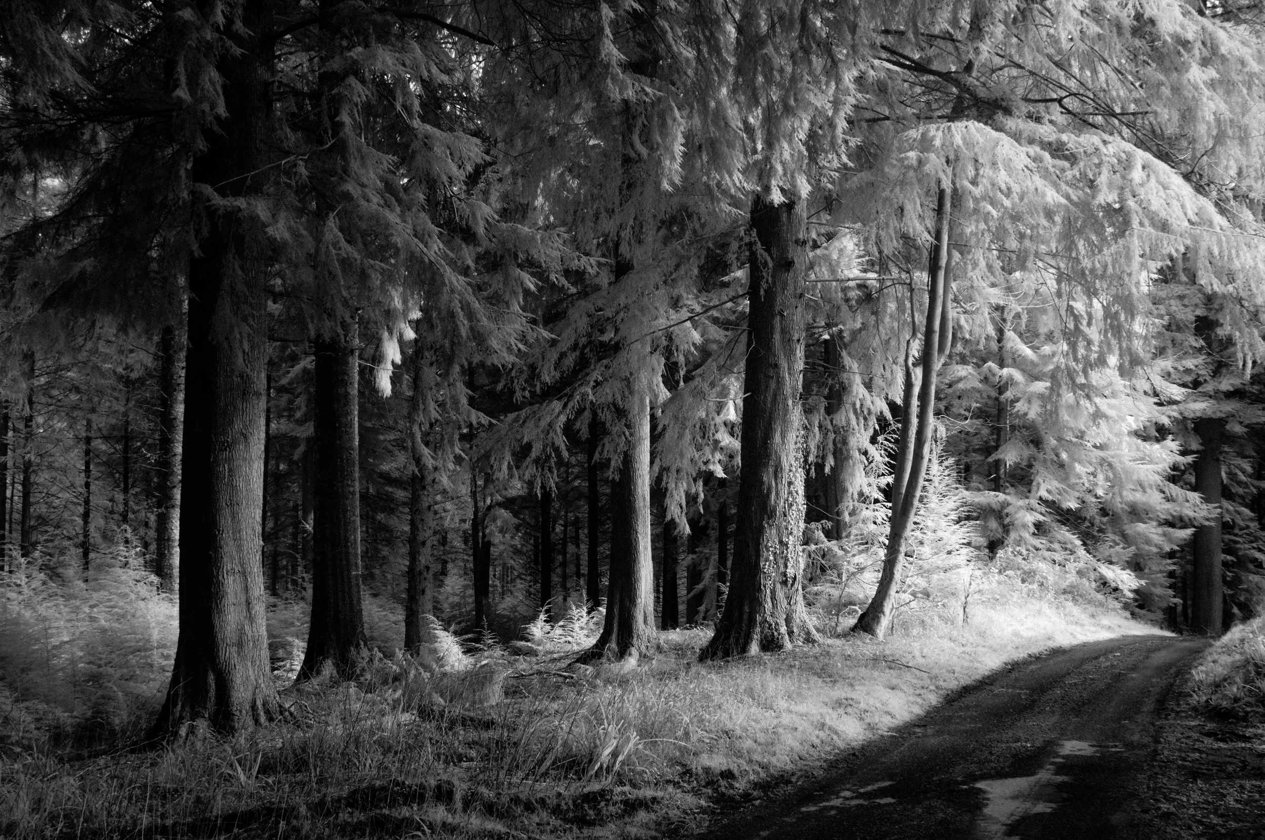 My top five images from 2025