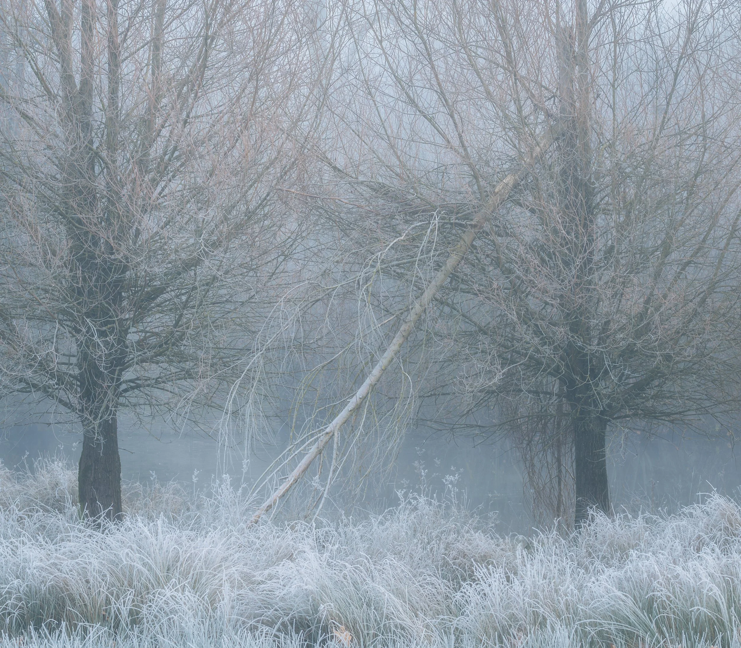 2025’s last hurrah