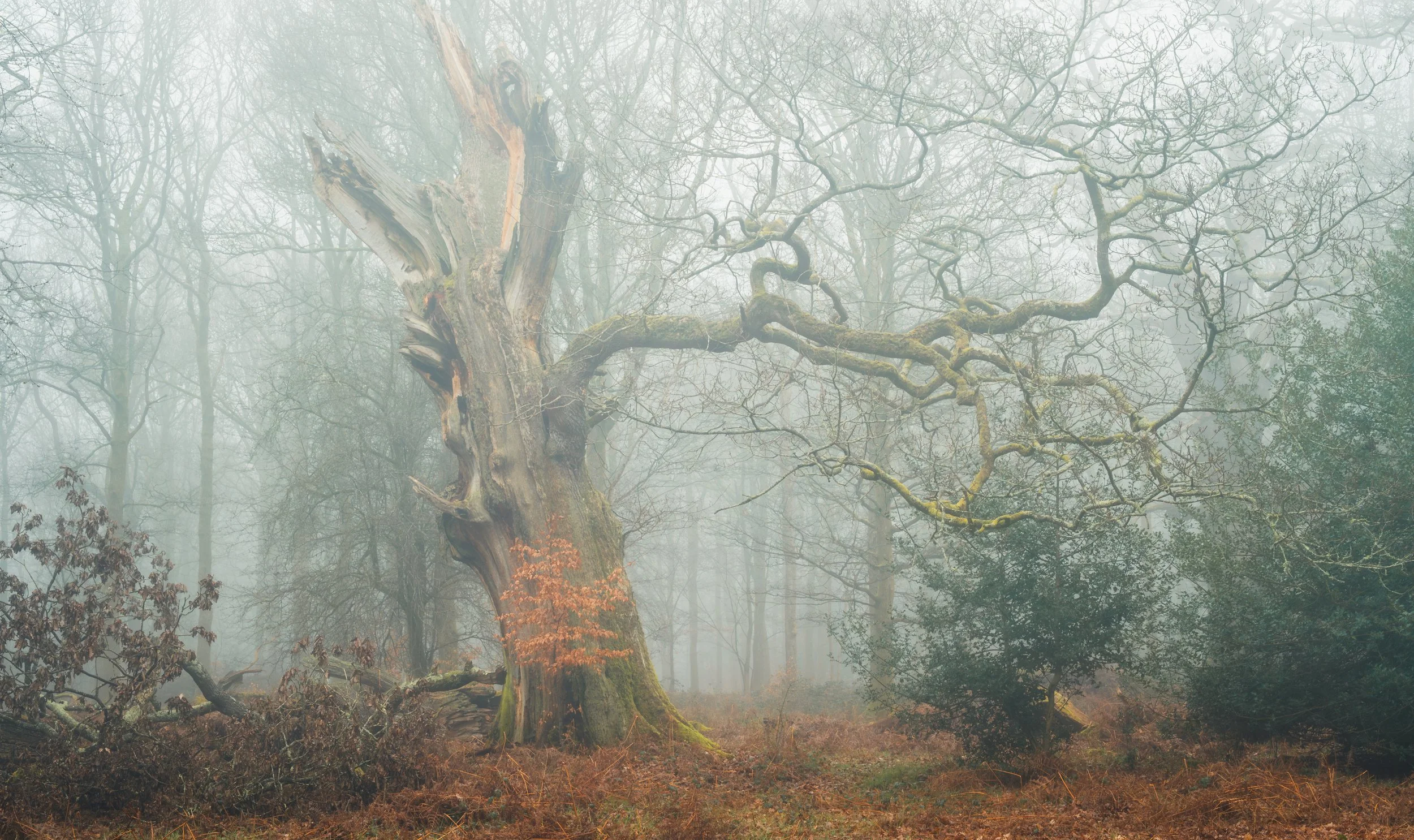 First blog of 2026….oops!