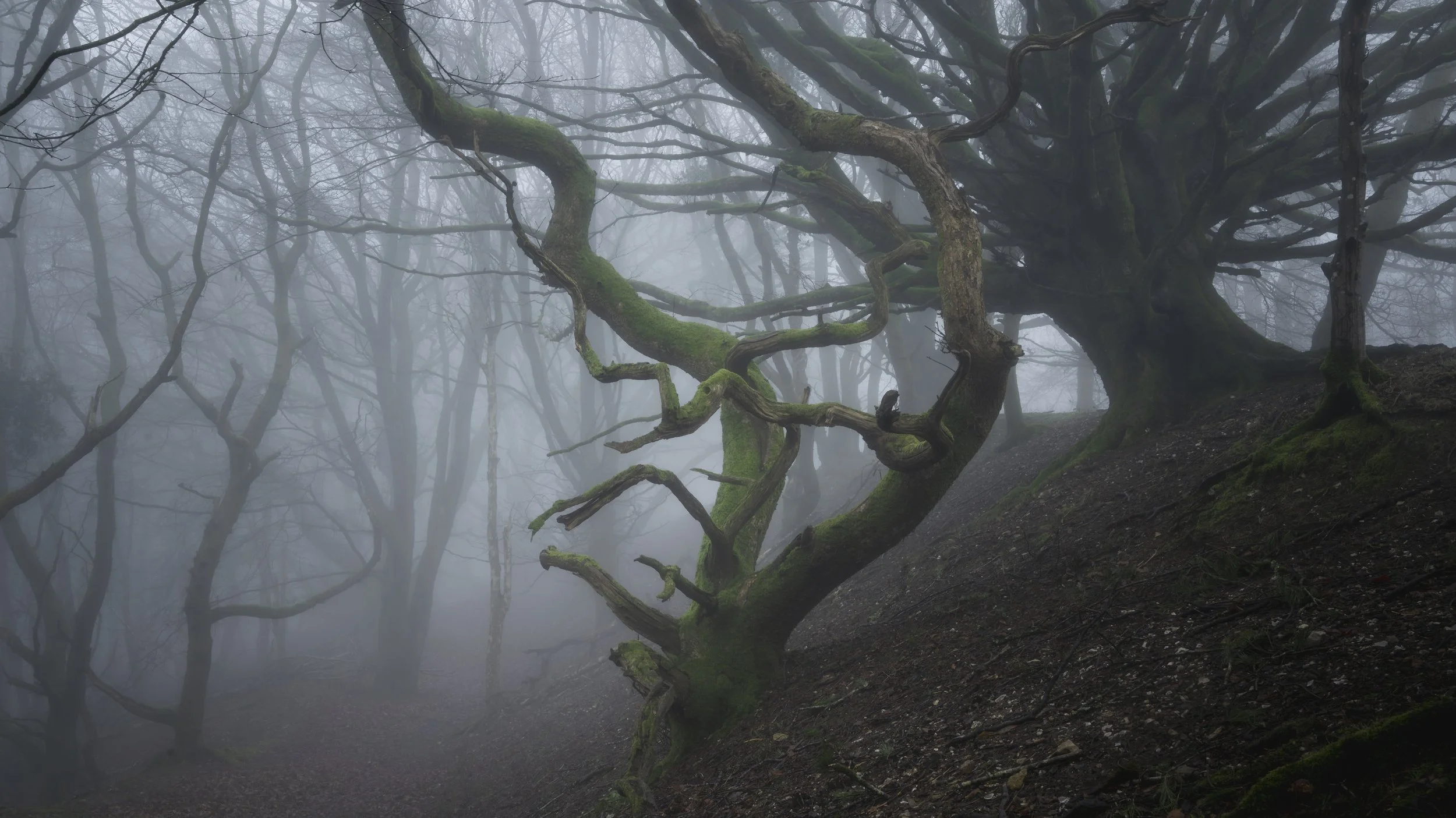 Finding the characters of your stories