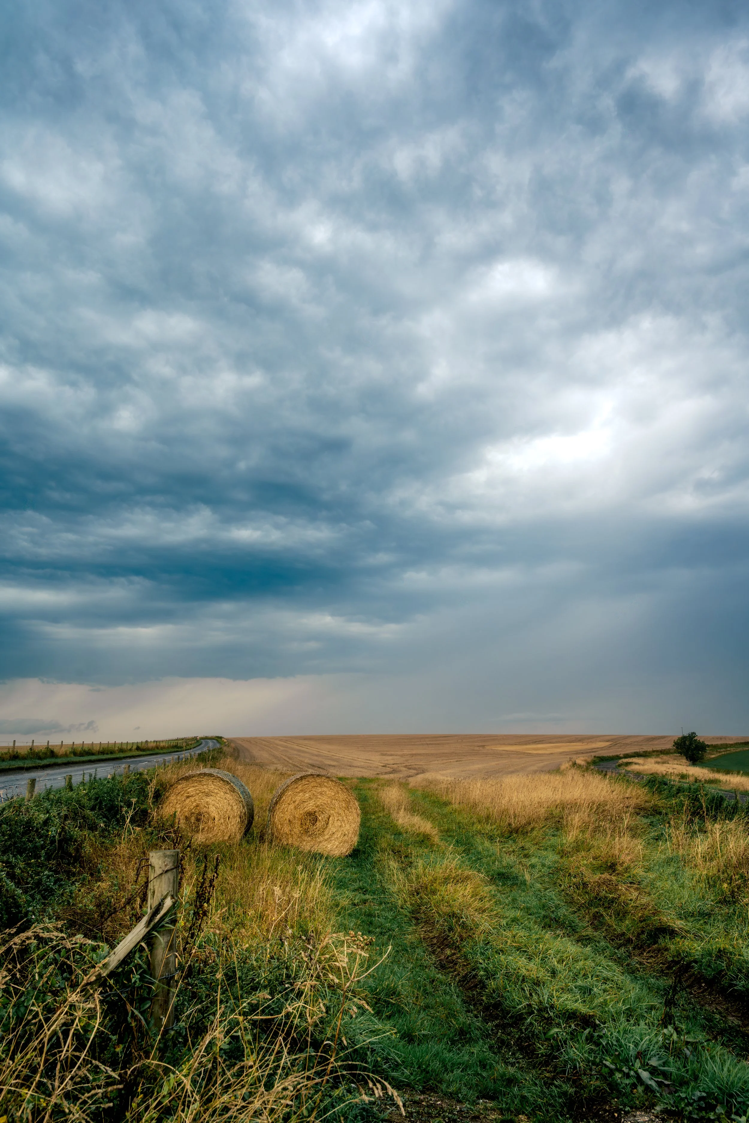 DSC_5493-Edit.jpg