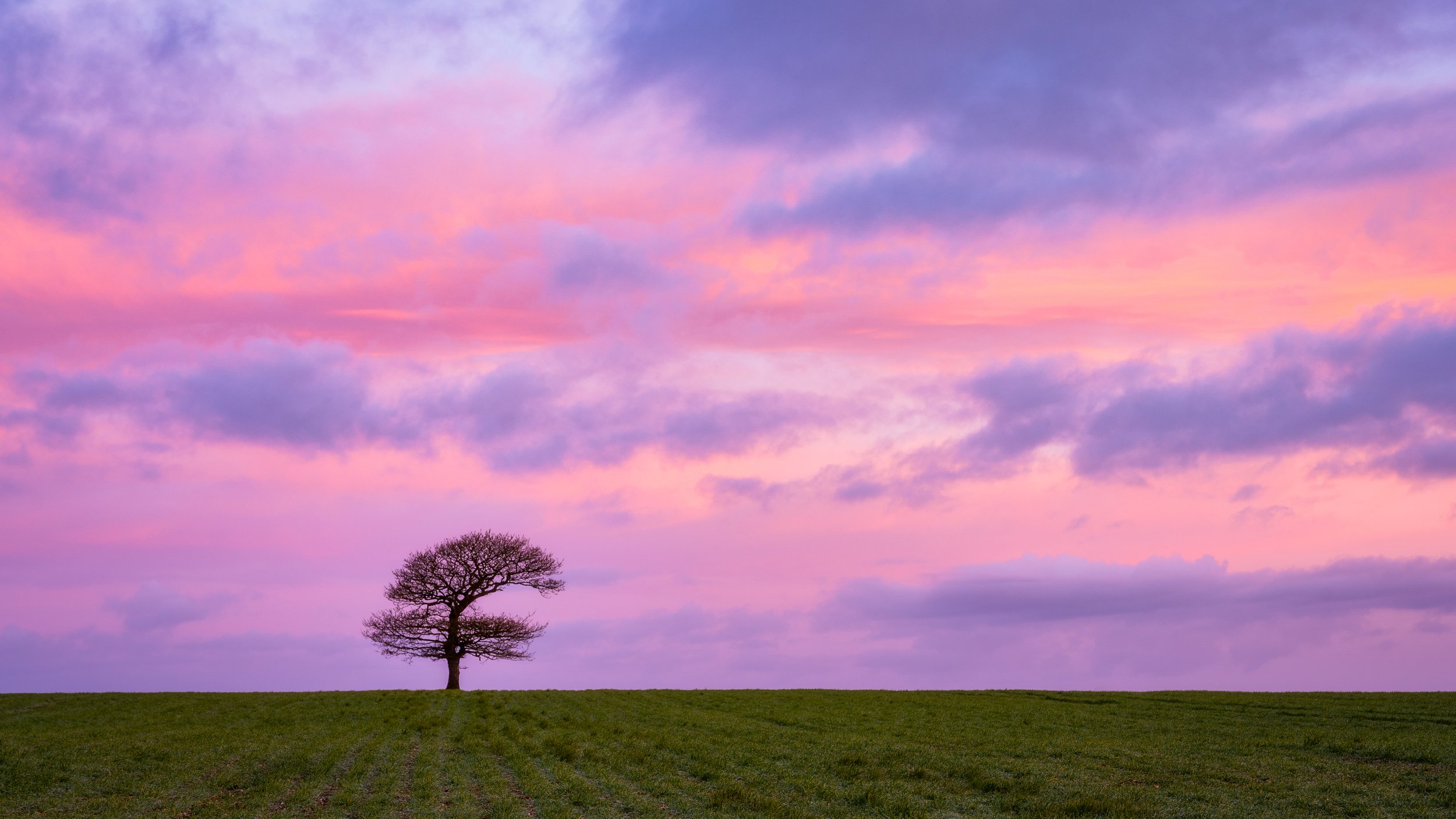 DSC_0057-Edit.jpg