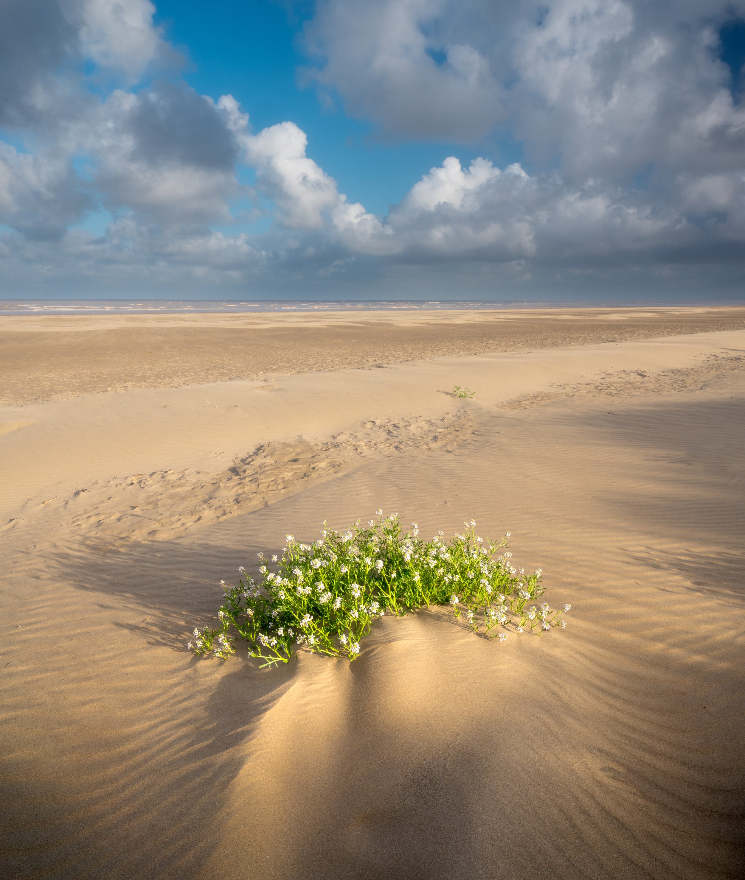 DSC_2139-Edit.jpg