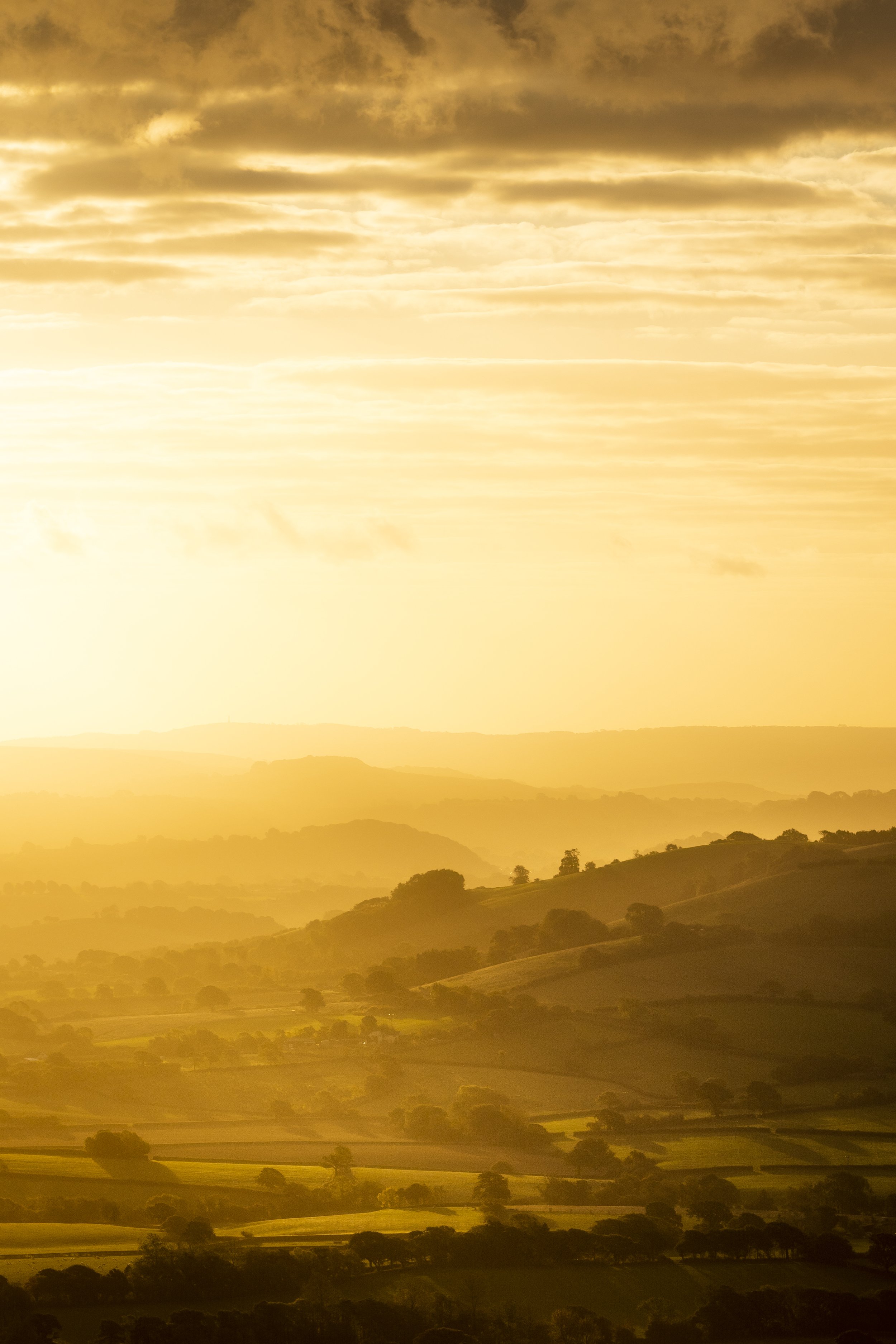 DSC_3898-Edit.jpg