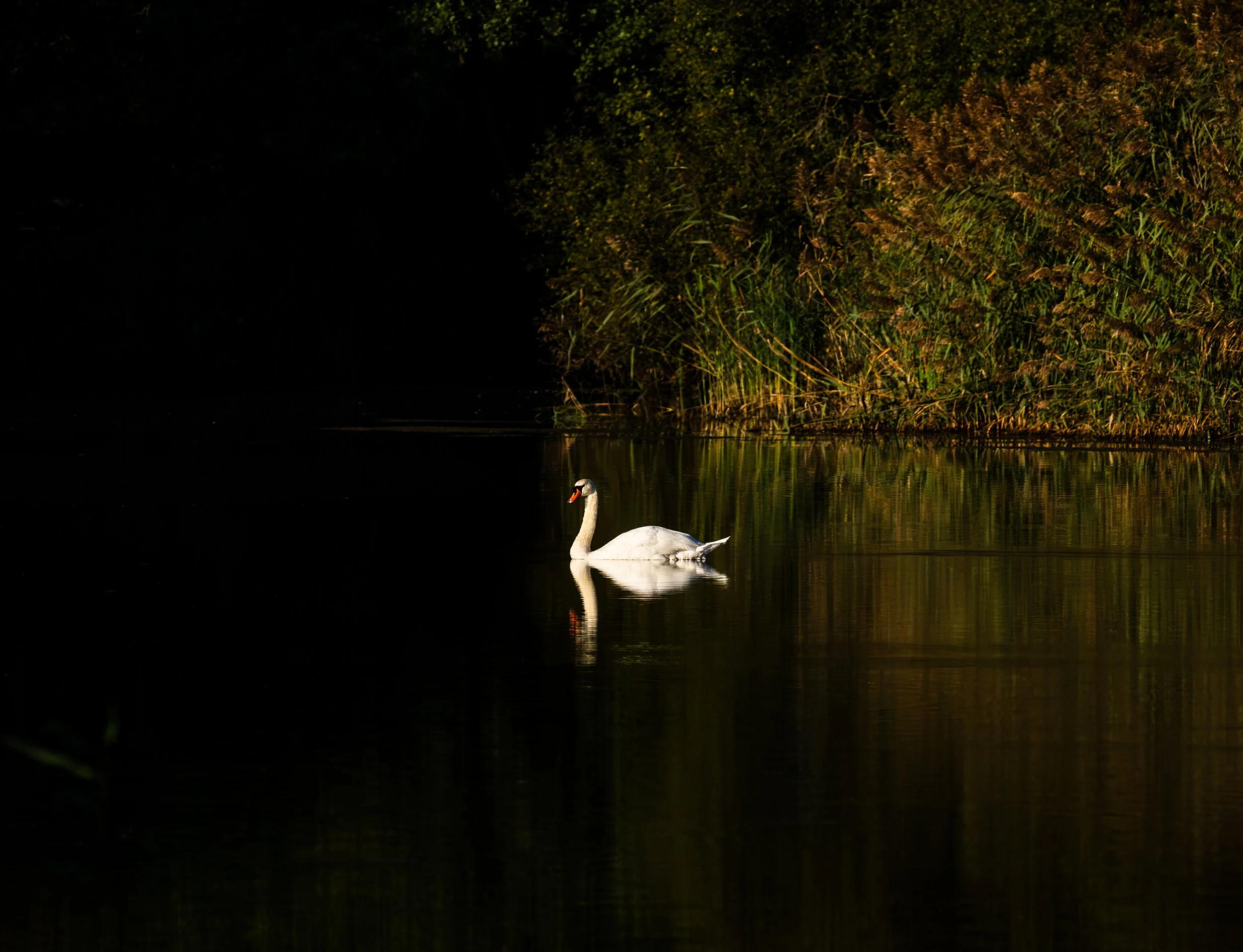 DSC_0621.jpg