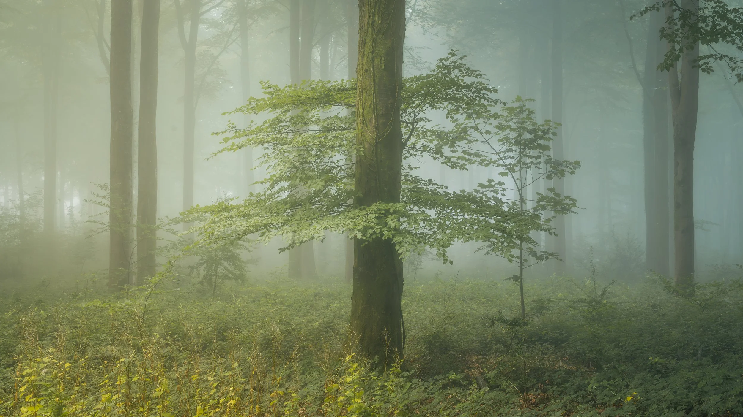 DSC_4705-Edit.jpg