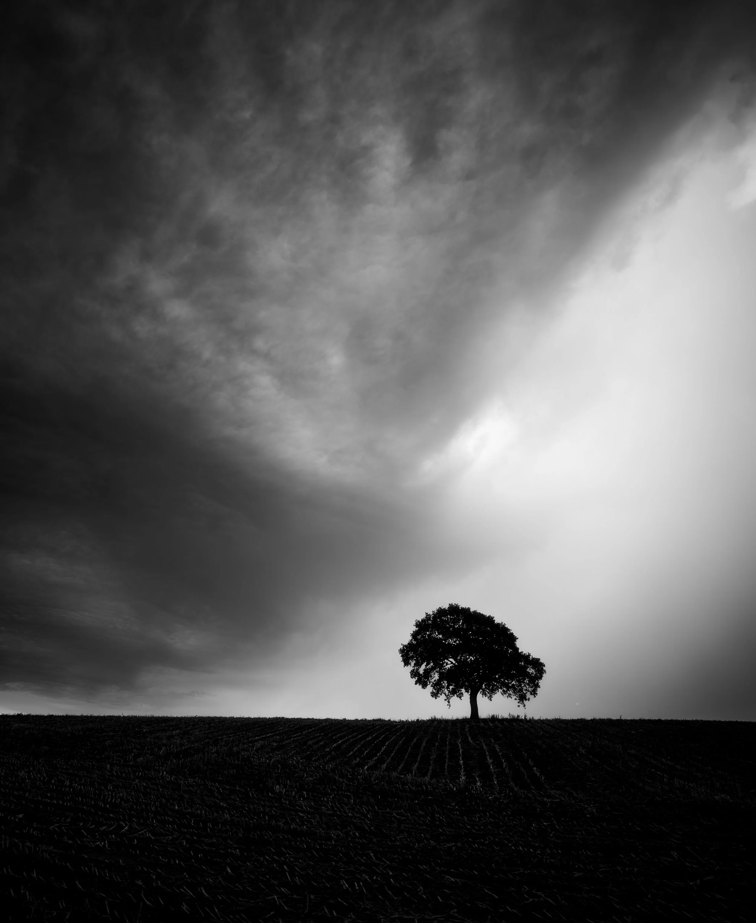 DSC_5438-Edit.jpg