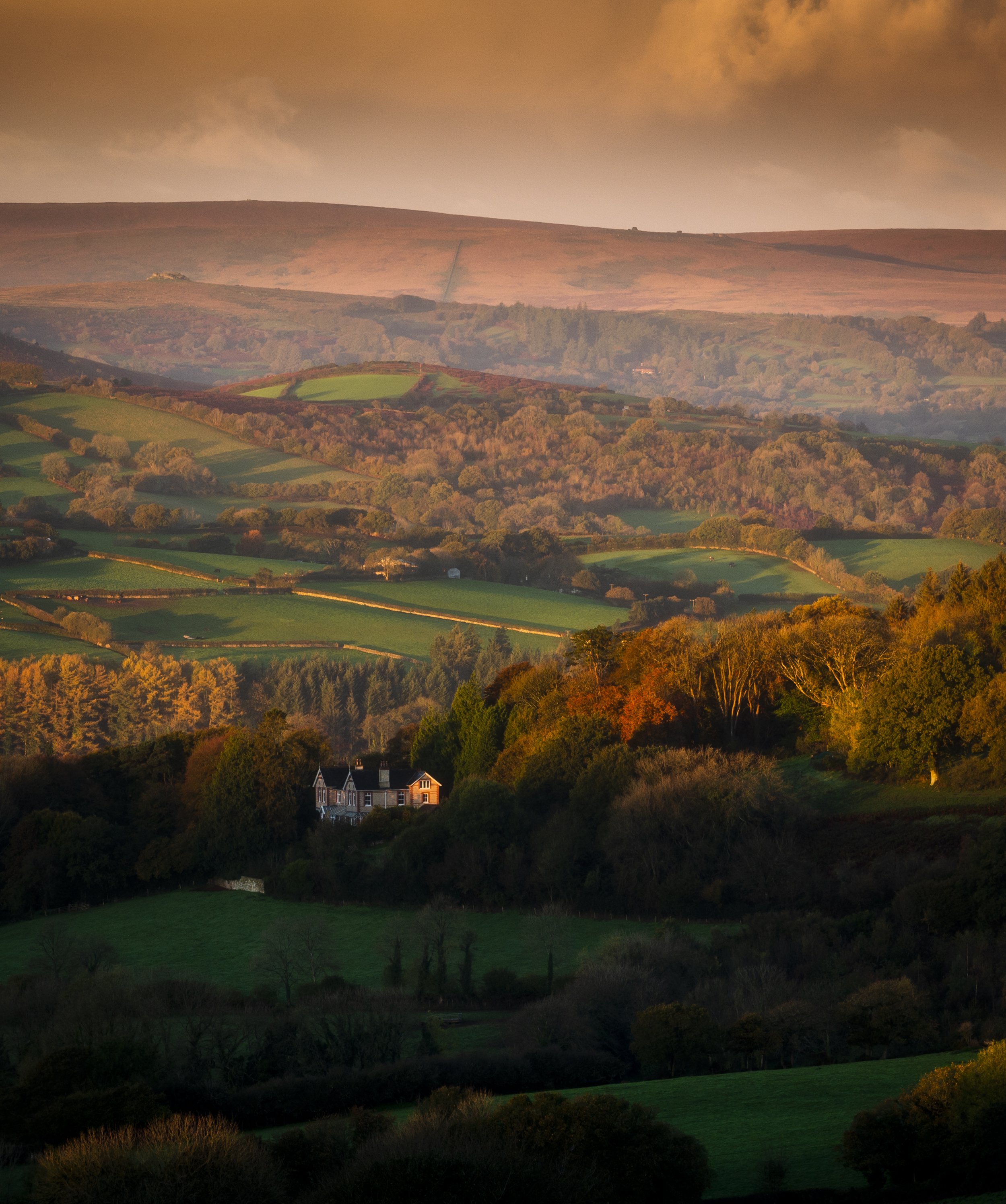 DSC_4625-Edit.jpg