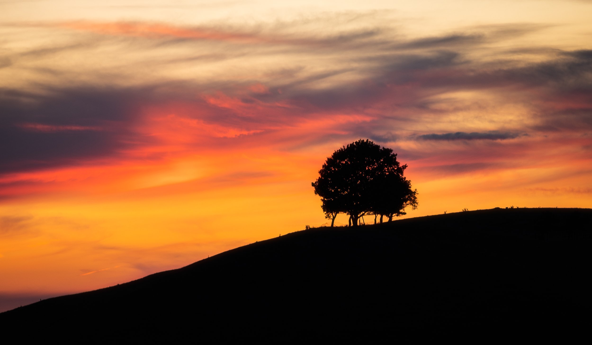 DSC_2580-Edit.jpg