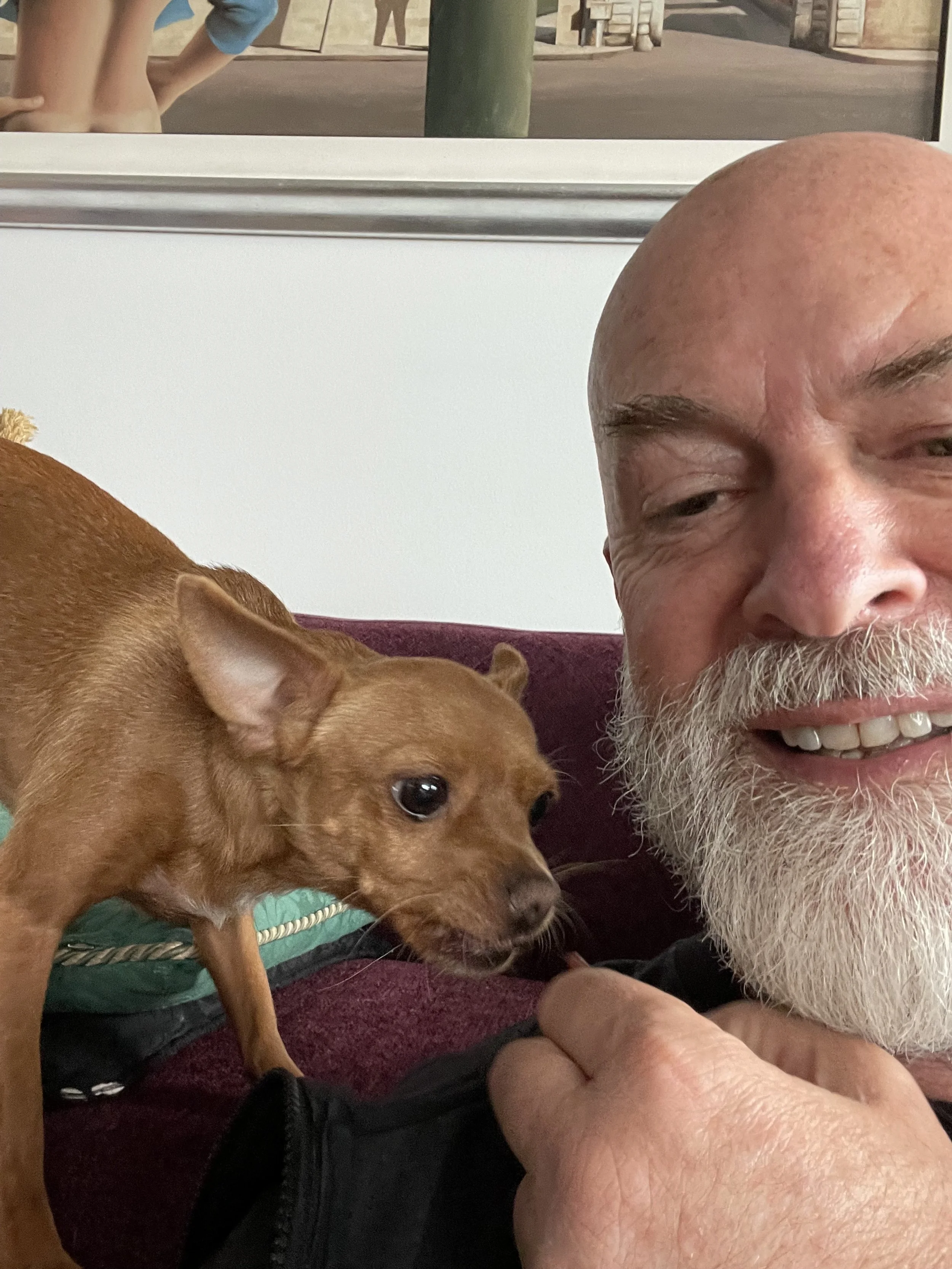 Dog Seperation Anxiety Training