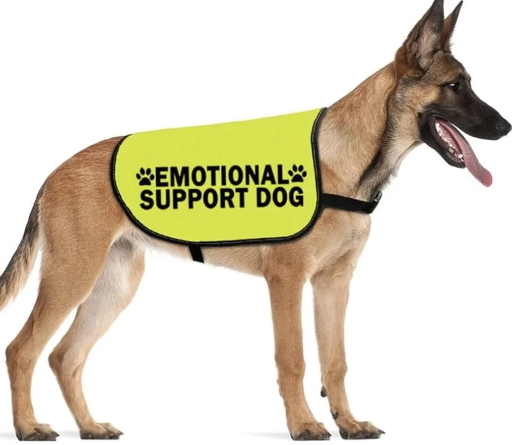Emotional Support Dog Training