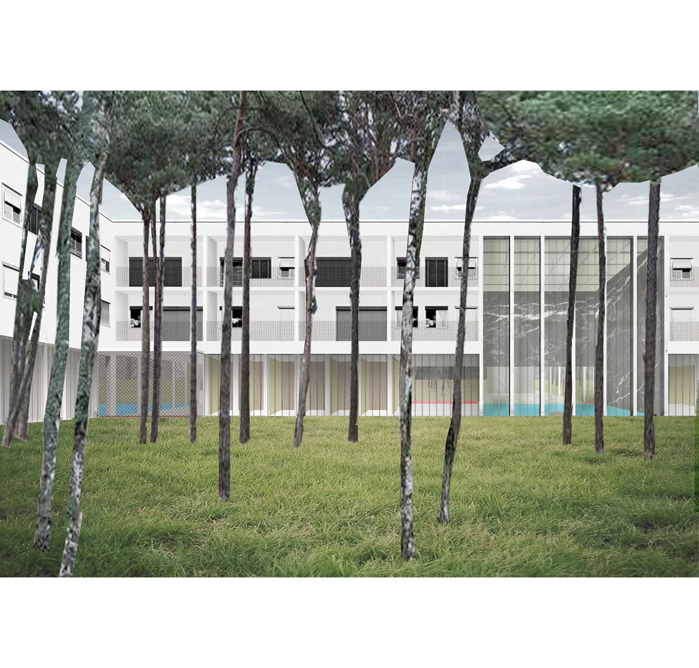 BTPP_cosmos_parkview.jpg
