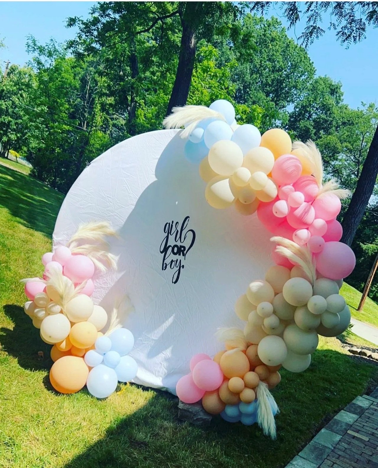 Outdoor birthday celebration setup with a large white circular backdrop decorated with pastel-colored balloons and feathers, featuring the words 'girl or boy' in black calligraphy.