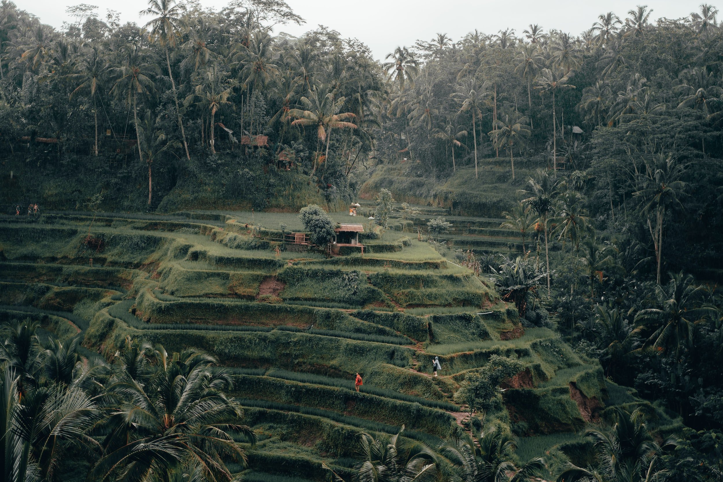 unsplash-image-ca3d4FYDf84.jpg