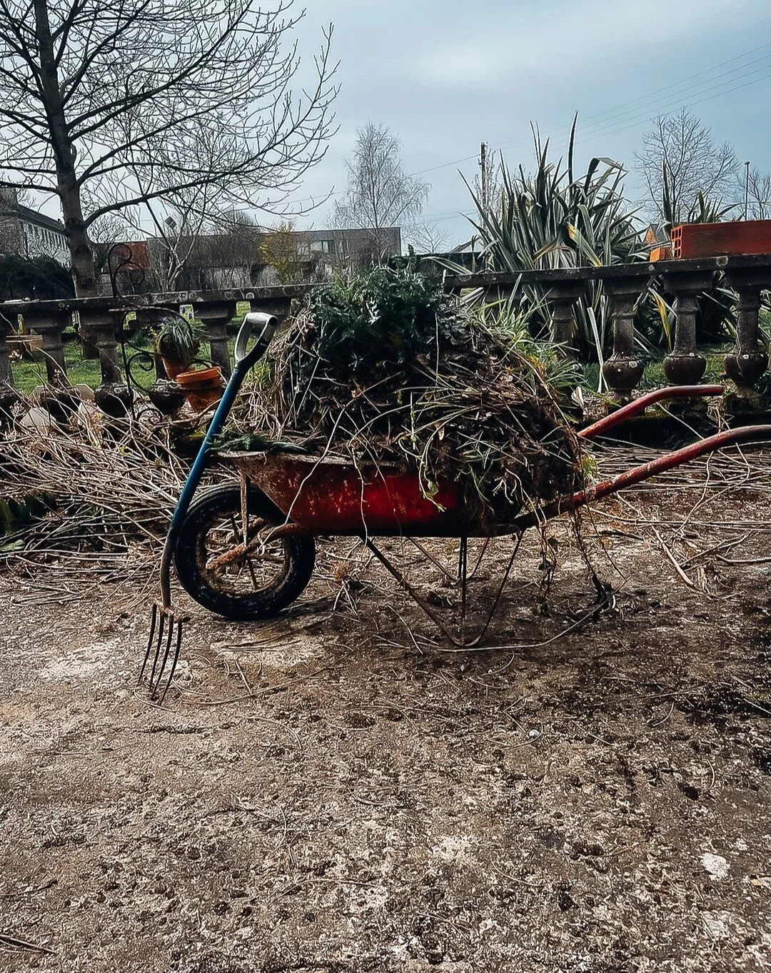 ensuite le jardin...

#chambresdhotes #france #bedandbreakfast #vacancesalacampagne #bretagne #bzh #breizh #brittany #cotedarmor #merdrignac #airbnb #countrysidelife #countryside #manor #manoir #renovation #r&eacute;novation #renovationproject #renov