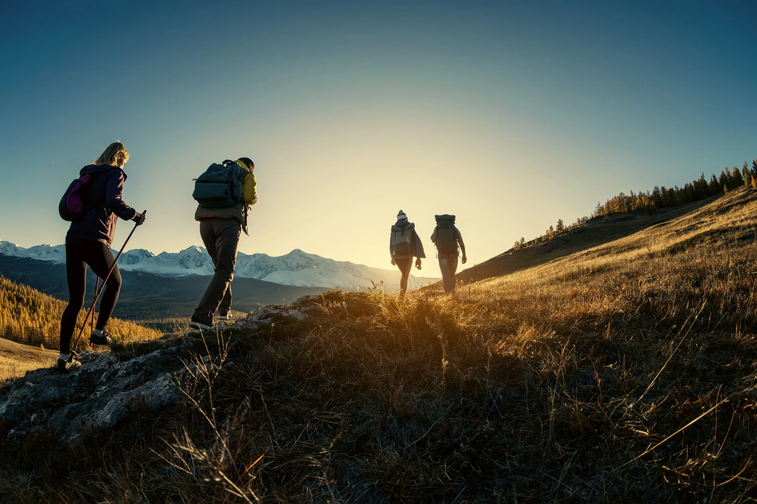 Small group of hikers against an alpine landscape