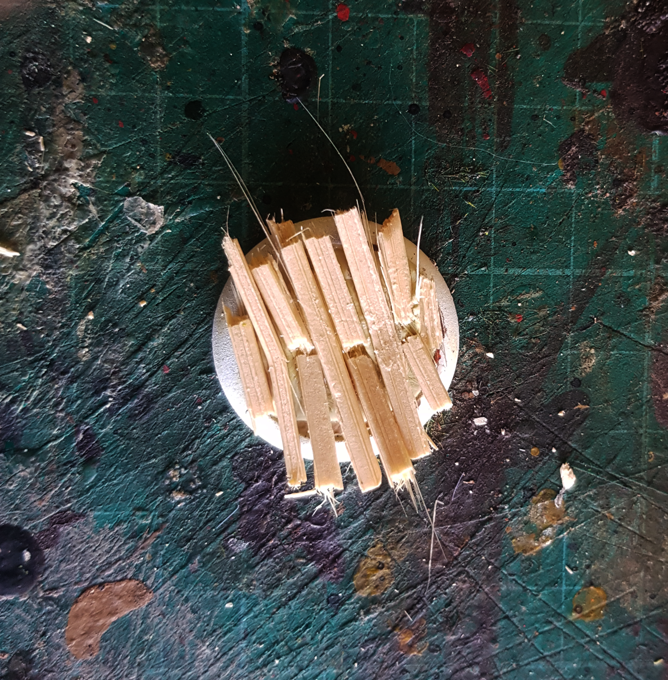 rotted planks.png