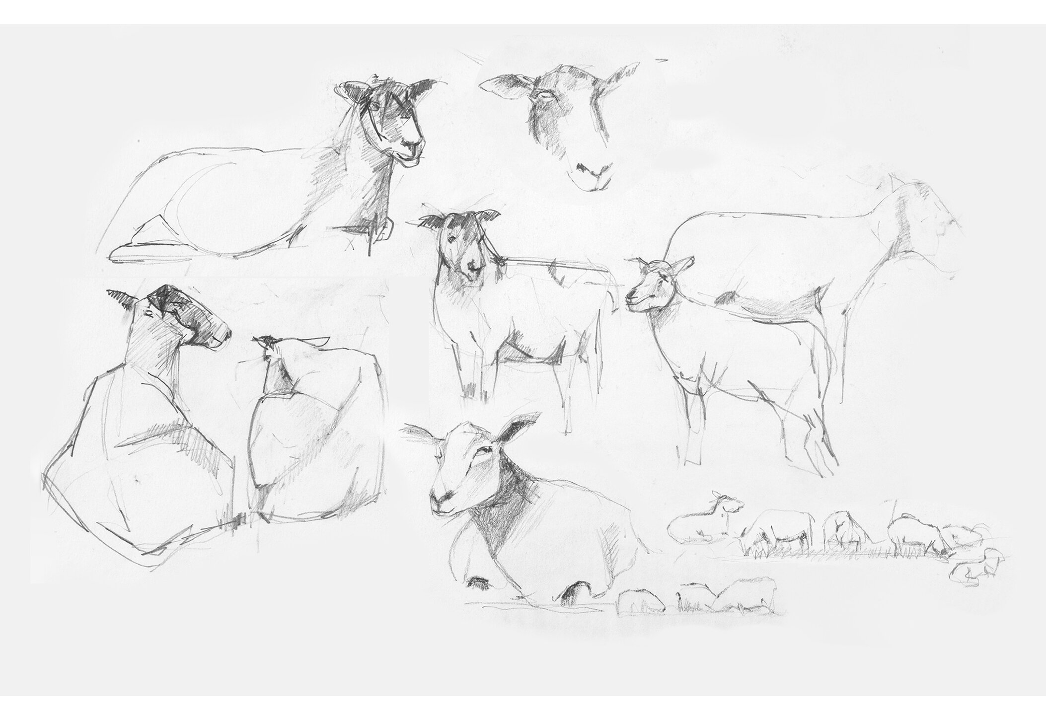 Sue-Pearce_sketchbook-33 .jpg