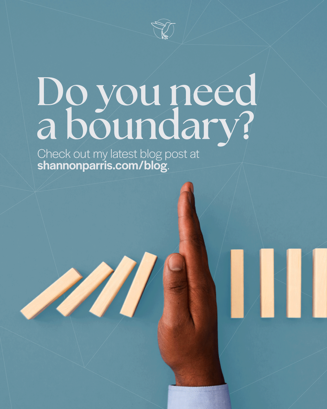 Read my Boundaries blog post!
