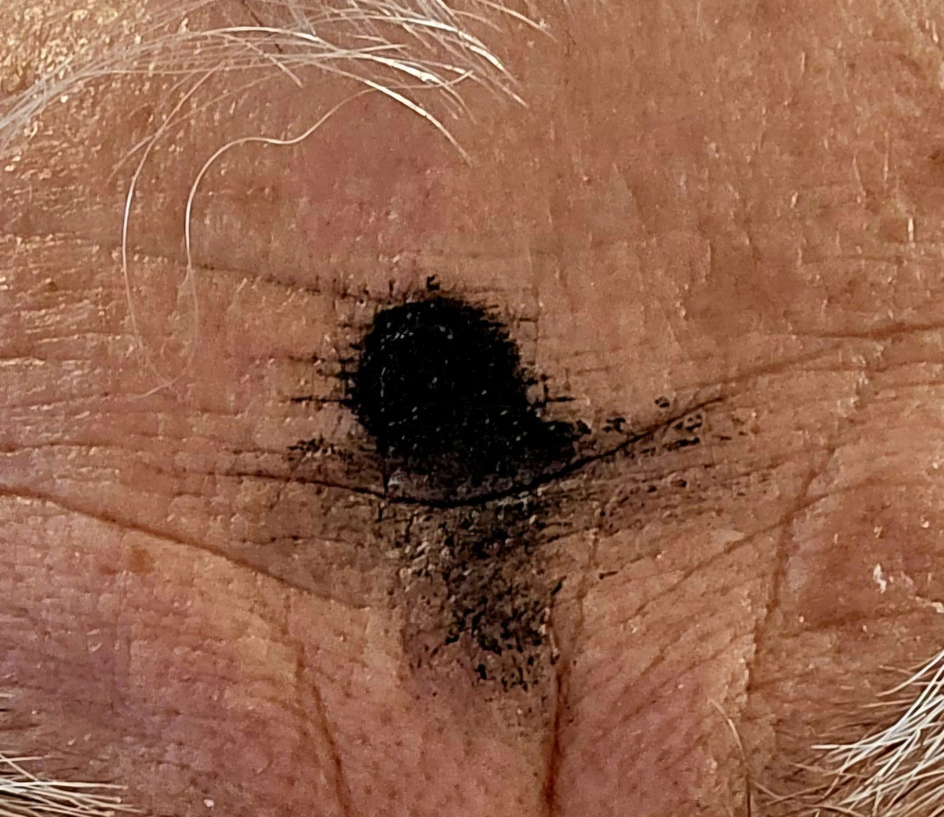 The Cross on my Forehead