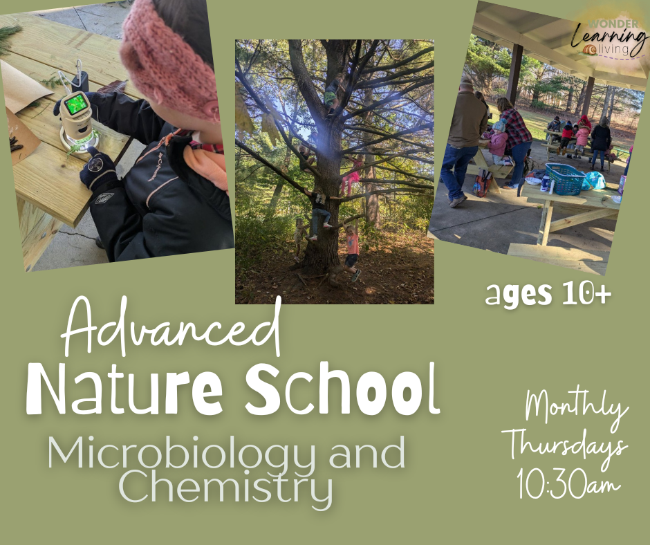 Copy of Copy of Summer nature school Friday.png