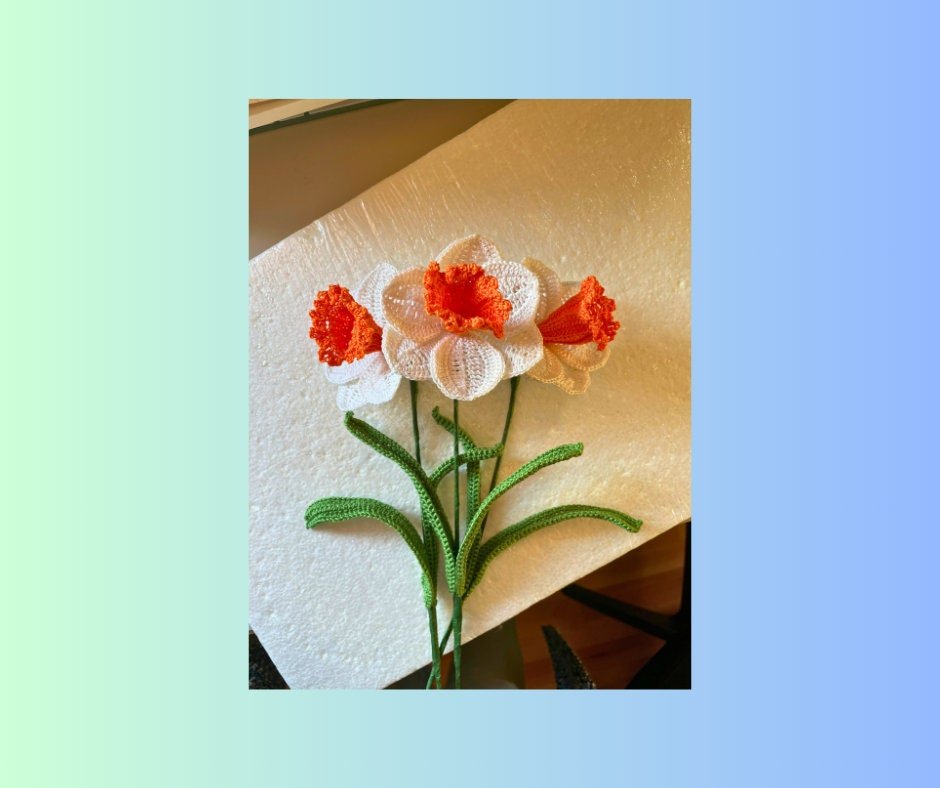 https://i.etsystatic.com/43320253/r/il/c88c58/5750097439/il_fullxfull.5750097439_q3y8.jpg