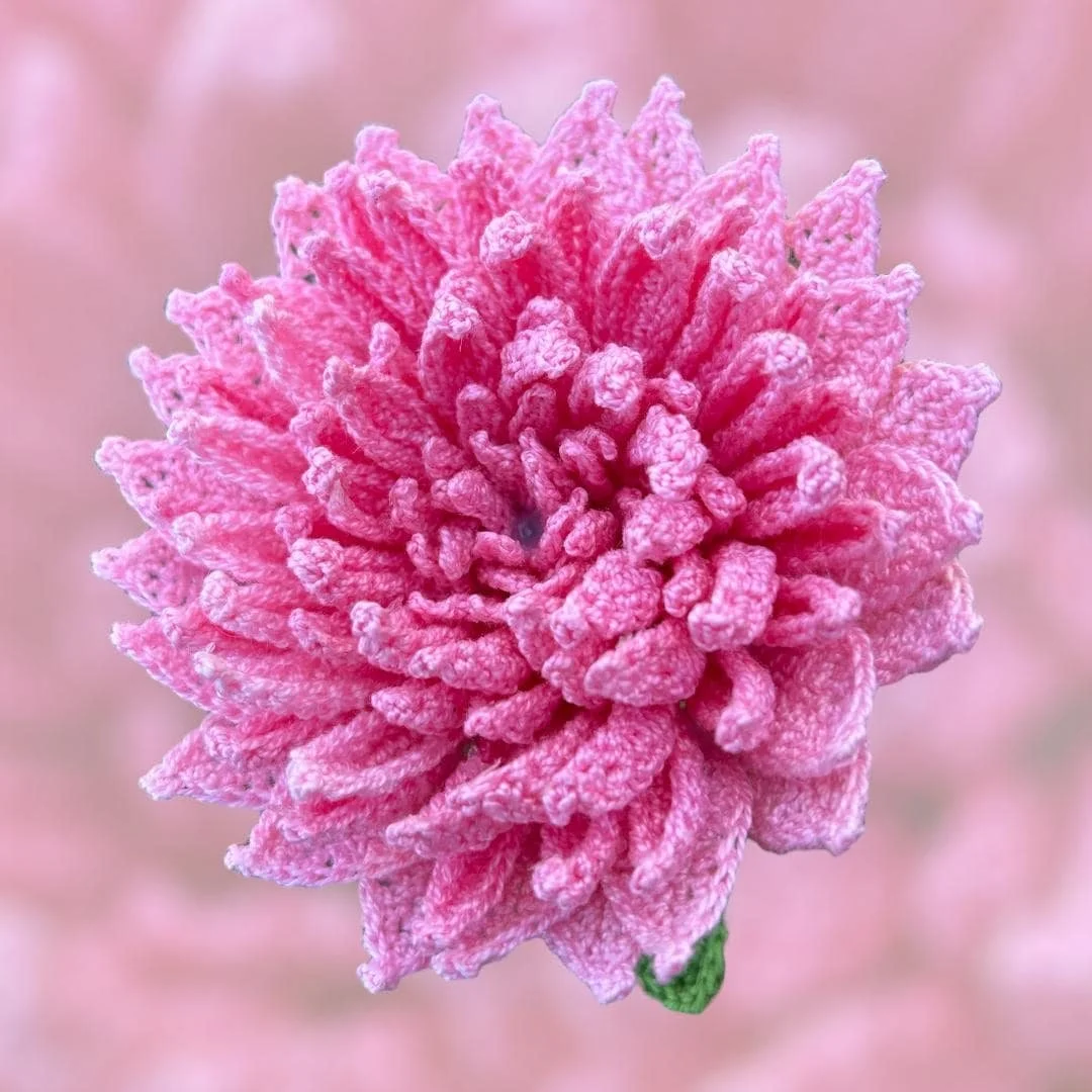 https://i.etsystatic.com/43320253/r/il/695378/6825251651/il_fullxfull.6825251651_ob62.jpg