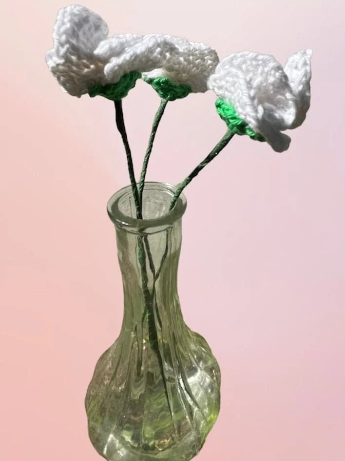 https://i.etsystatic.com/43320253/r/il/8b2243/6020816862/il_fullxfull.6020816862_mi6g.jpg