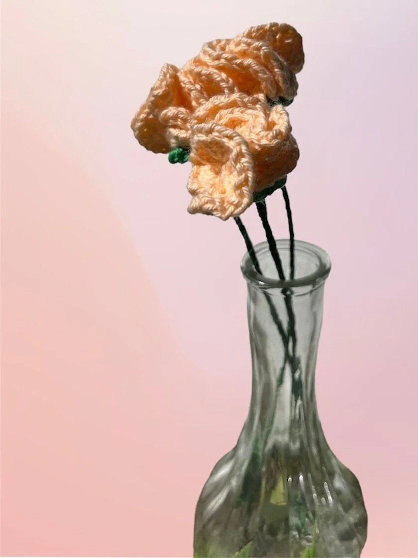https://i.etsystatic.com/43320253/r/il/de48e0/6020816852/il_fullxfull.6020816852_gqxv.jpg