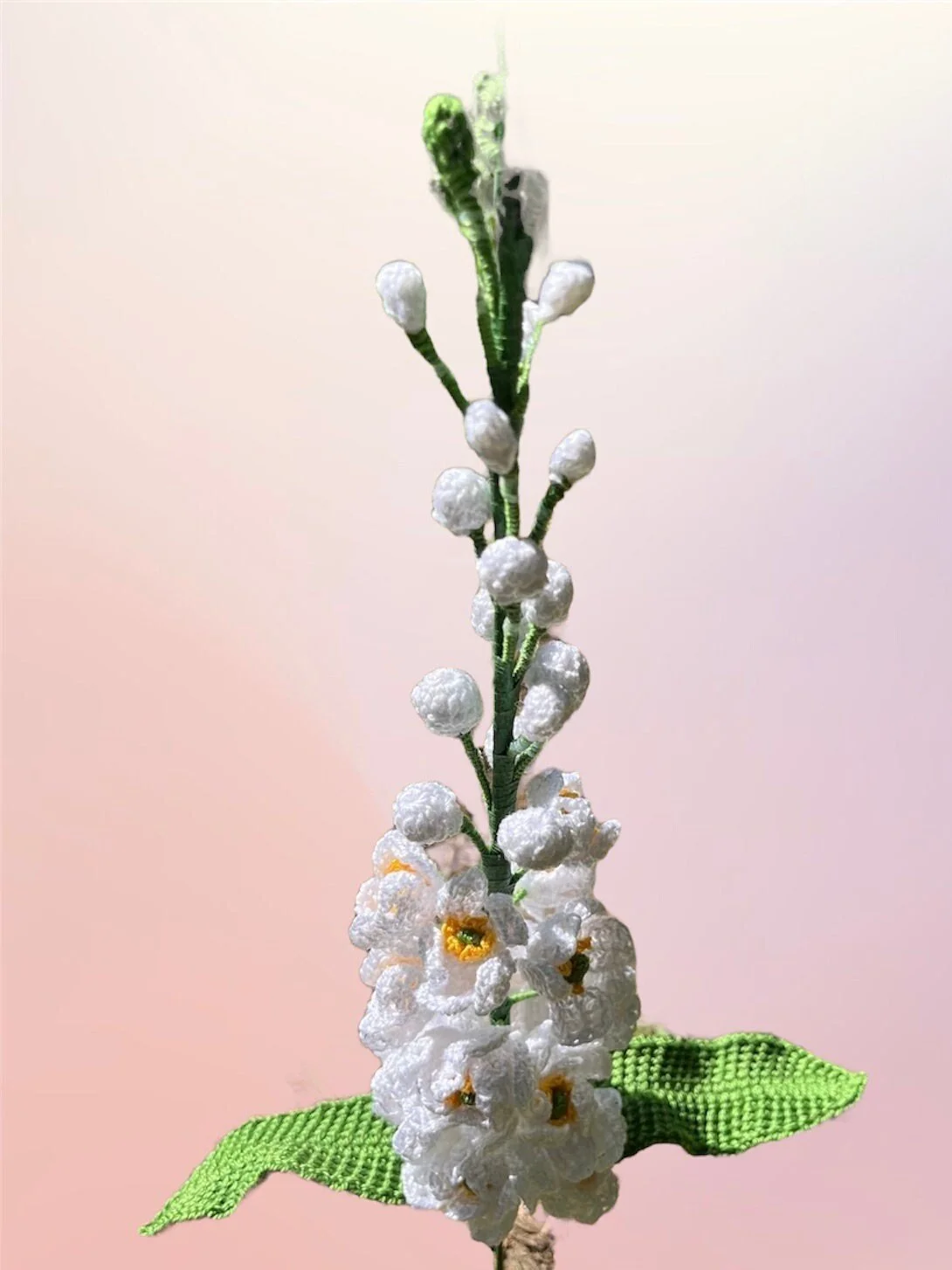 https://i.etsystatic.com/43320253/r/il/dda4c1/6068941349/il_fullxfull.6068941349_hfw0.jpg