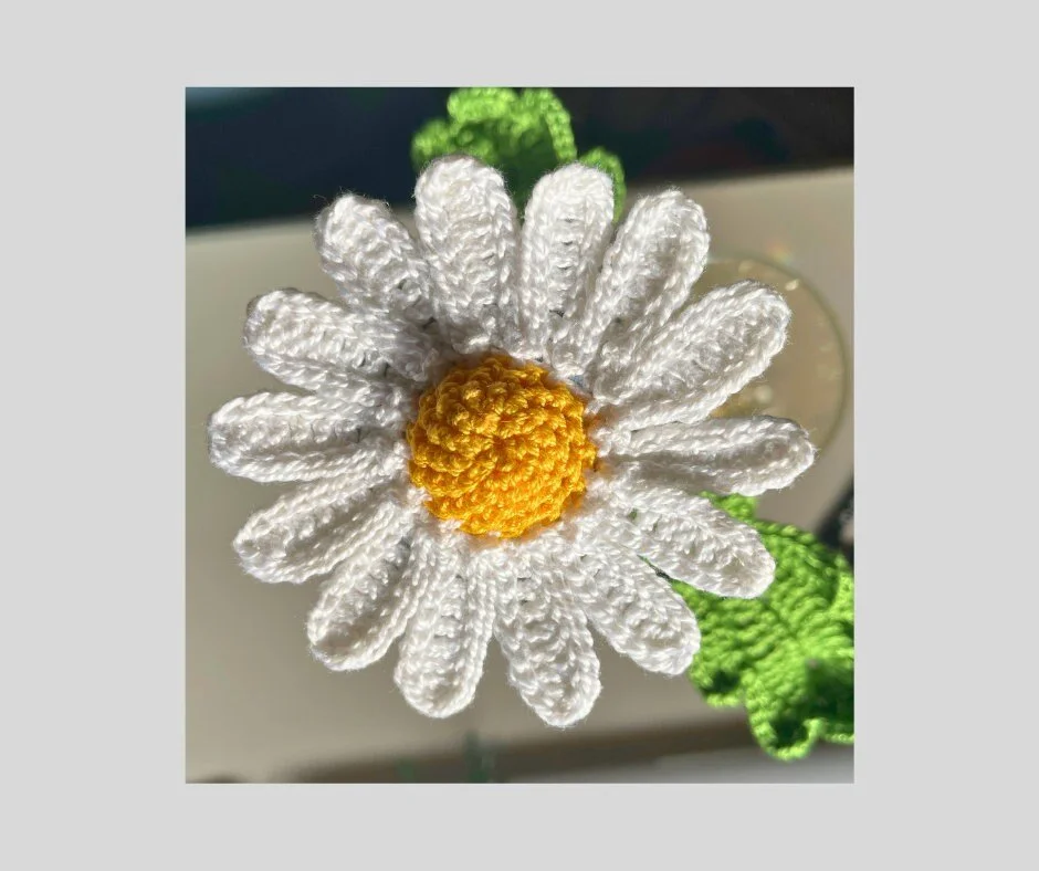 https://i.etsystatic.com/43320253/r/il/38e6c3/5900112542/il_fullxfull.5900112542_4s06.jpg