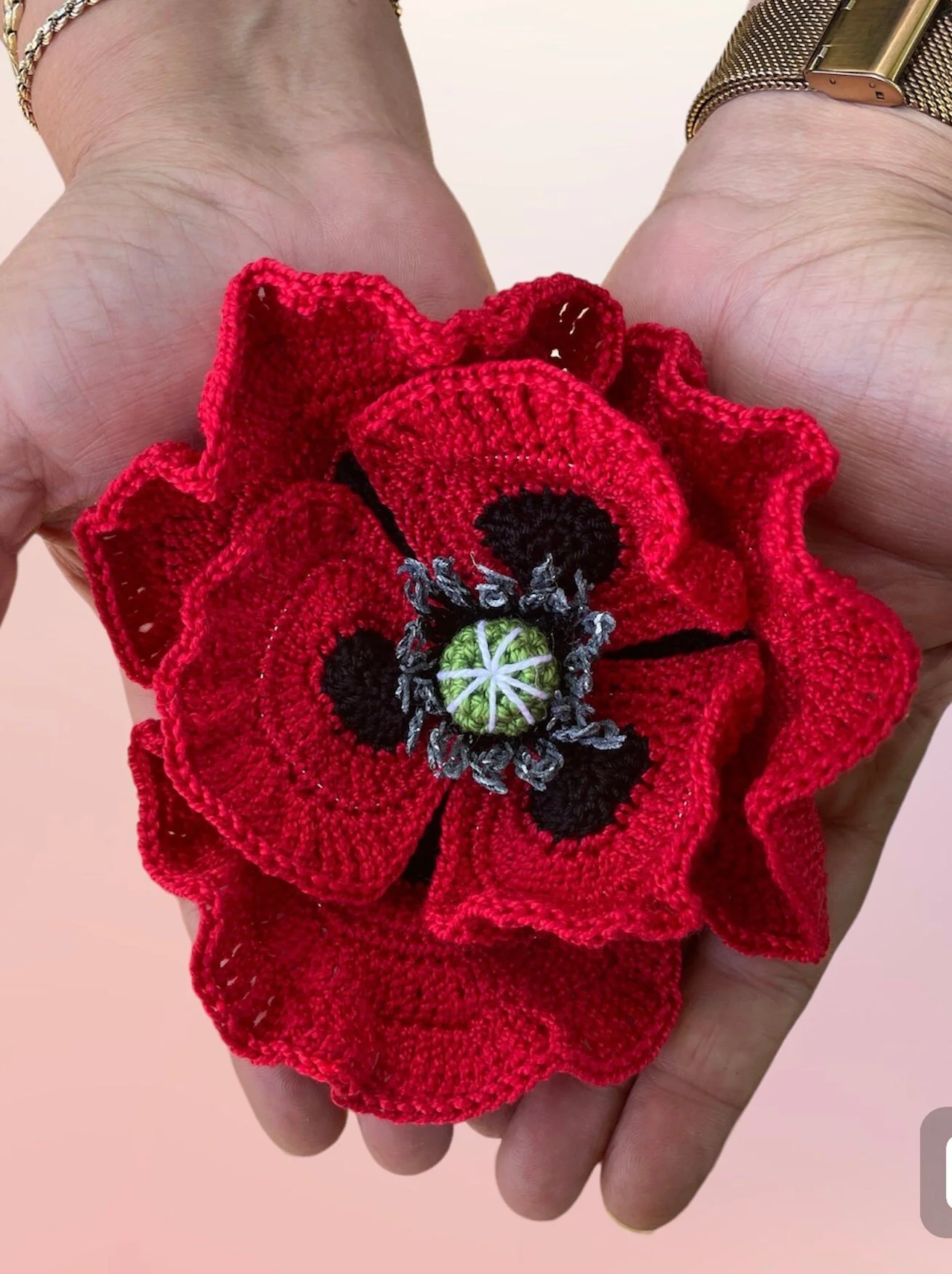 https://i.etsystatic.com/43320253/r/il/d63c76/6056959920/il_fullxfull.6056959920_g0pb.jpg