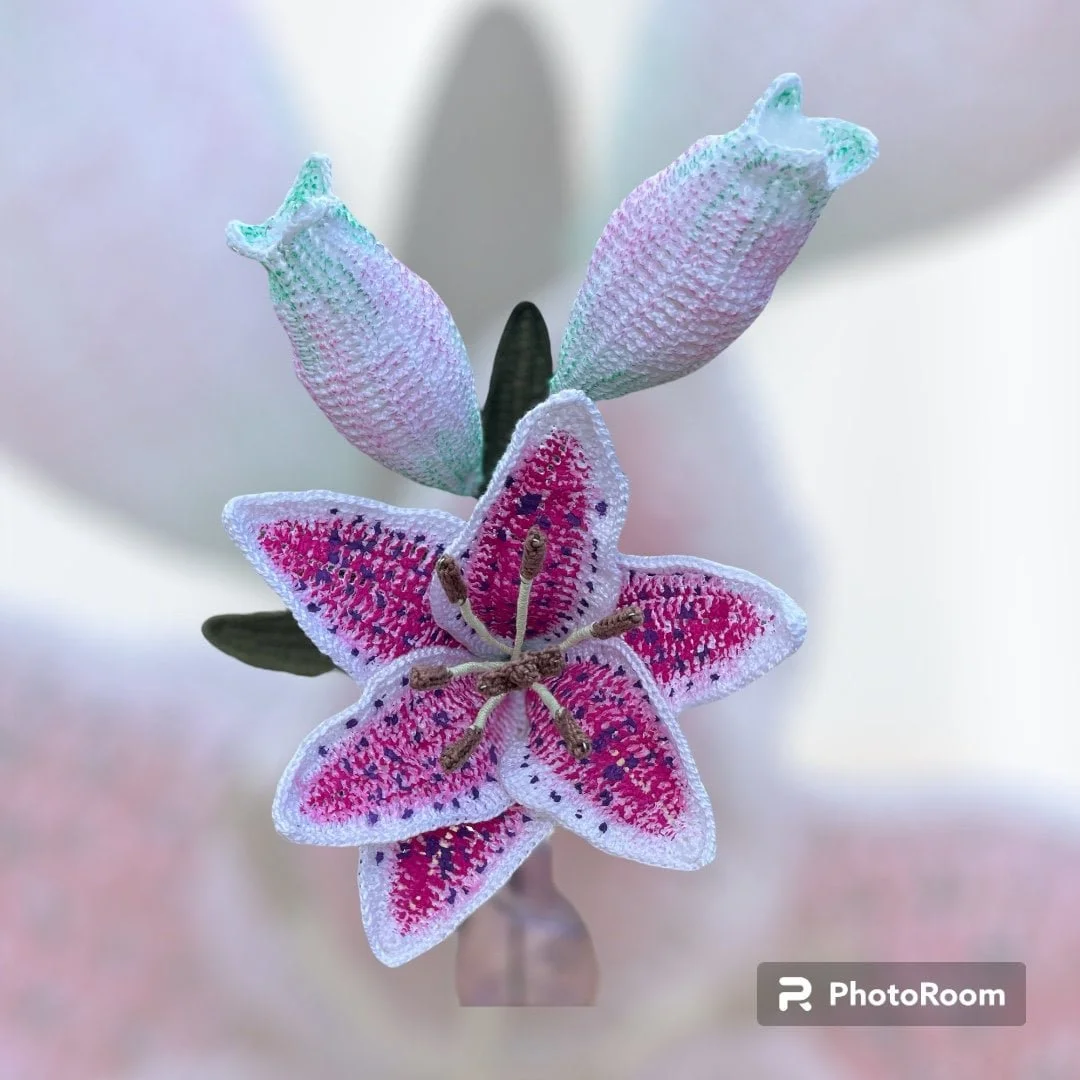 https://i.etsystatic.com/43320253/r/il/b4edf6/5931105553/il_fullxfull.5931105553_hvzg.jpg
