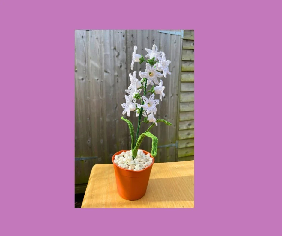 https://i.etsystatic.com/43320253/r/il/708119/5839477357/il_fullxfull.5839477357_7srr.jpg