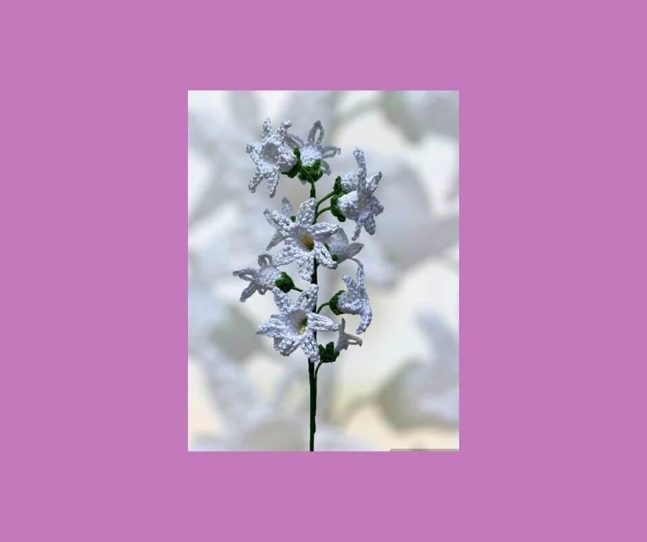 https://i.etsystatic.com/43320253/r/il/b6afaa/5839385597/il_fullxfull.5839385597_c4lt.jpg