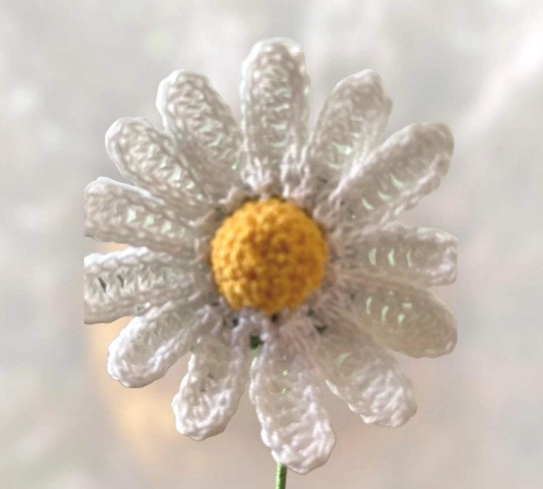 https://i.etsystatic.com/43320253/r/il/717e0a/6834612573/il_fullxfull.6834612573_6upk.jpg